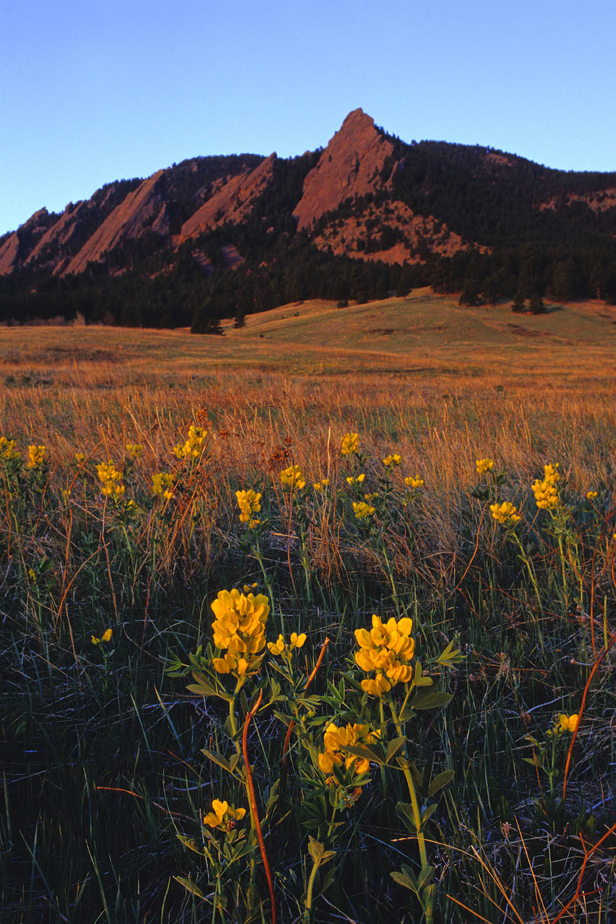 The 15 best places to buy a home in the U.S. if you want it to increase in value