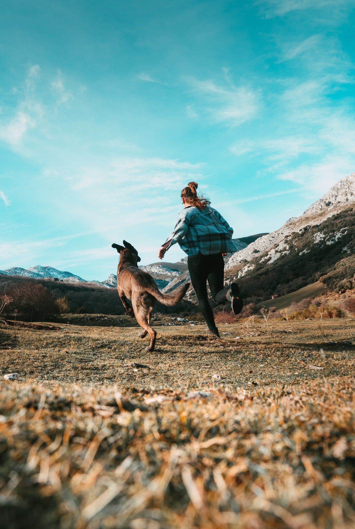 Expert tips on how to start running with your dog