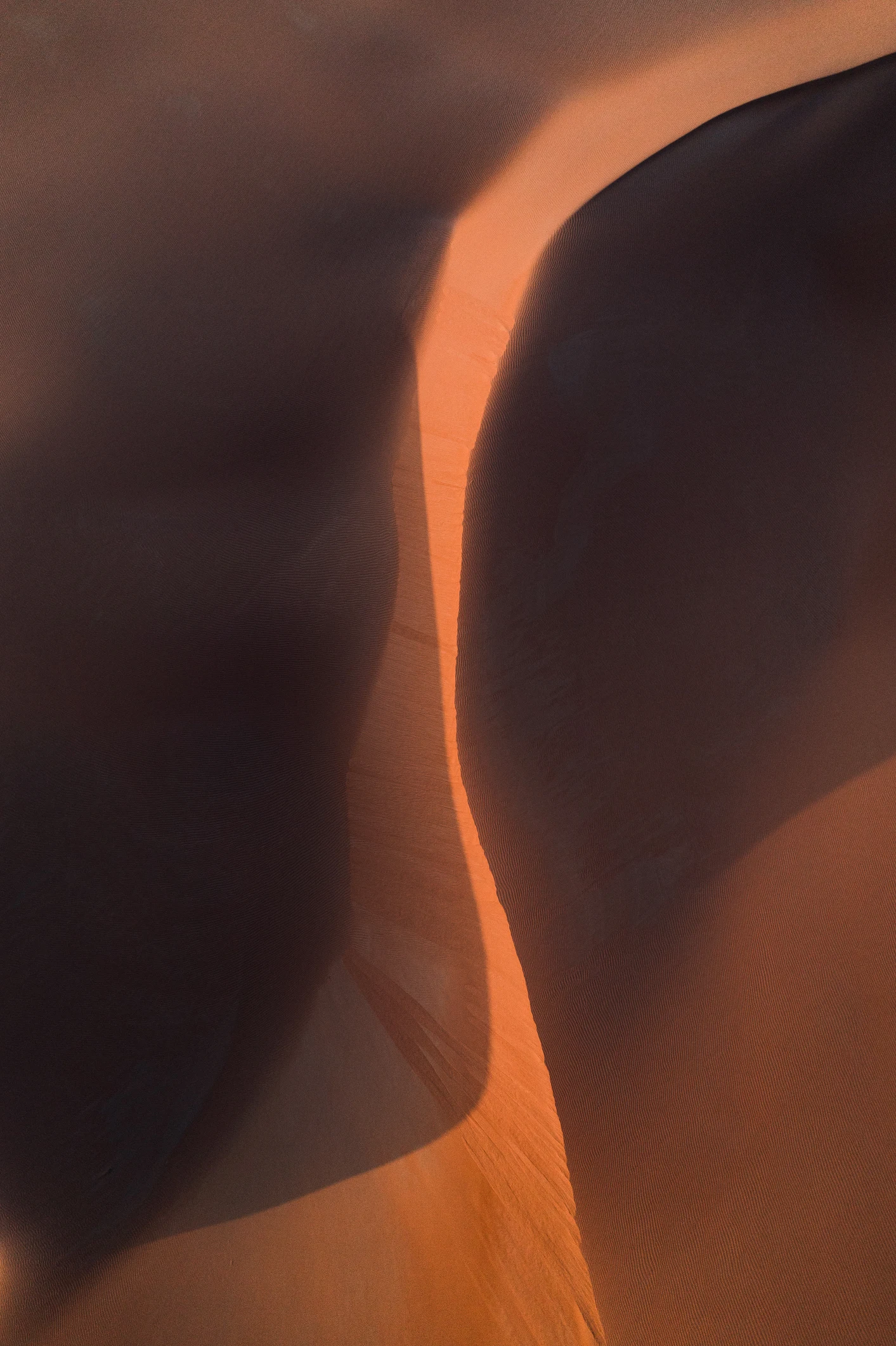 Si vous avez de l'asthme, débarrassez-vous de ces trois choses dans votre maison