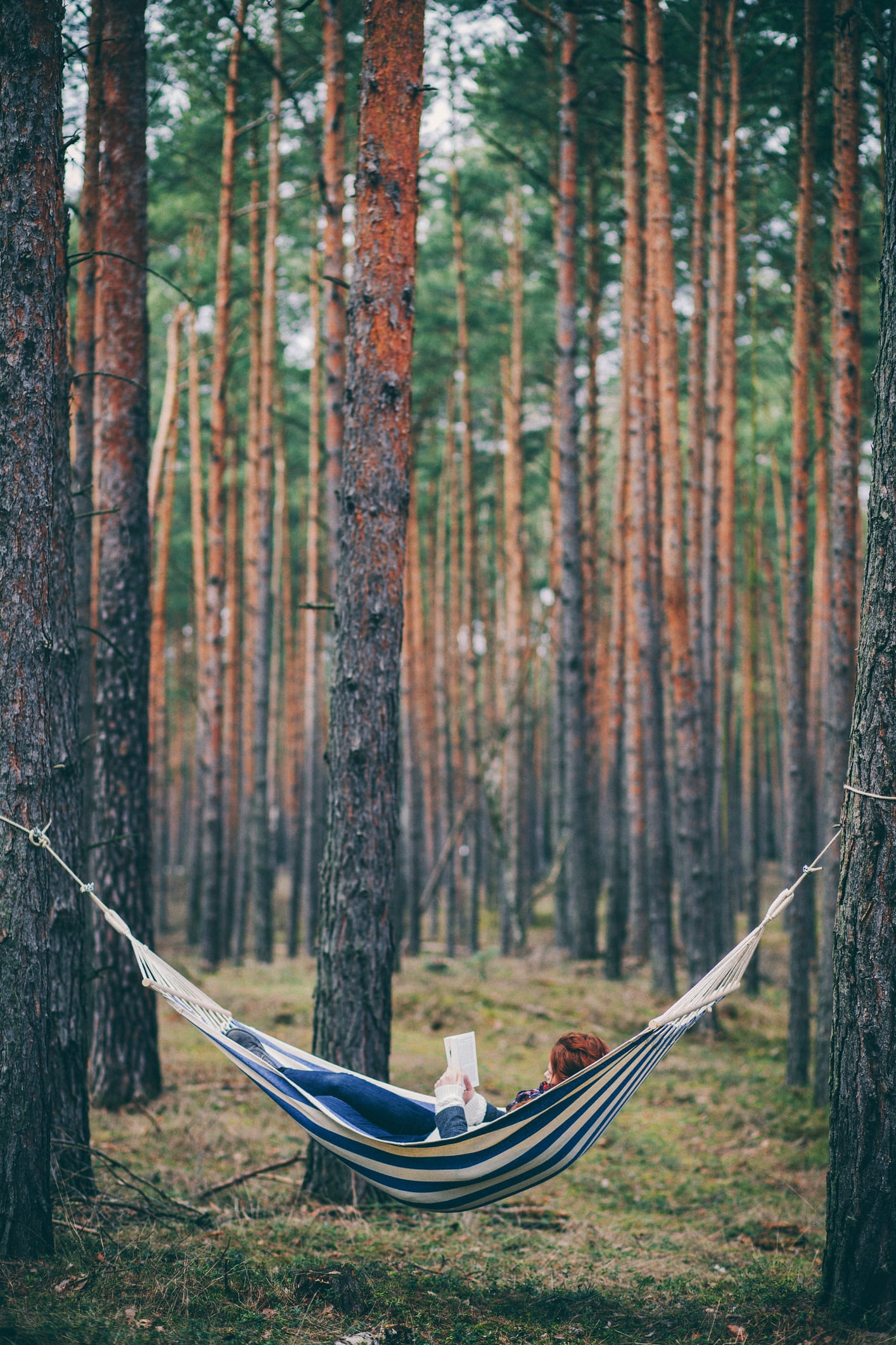 Haven Safari hammock tent adds glamping comfort on or off ground