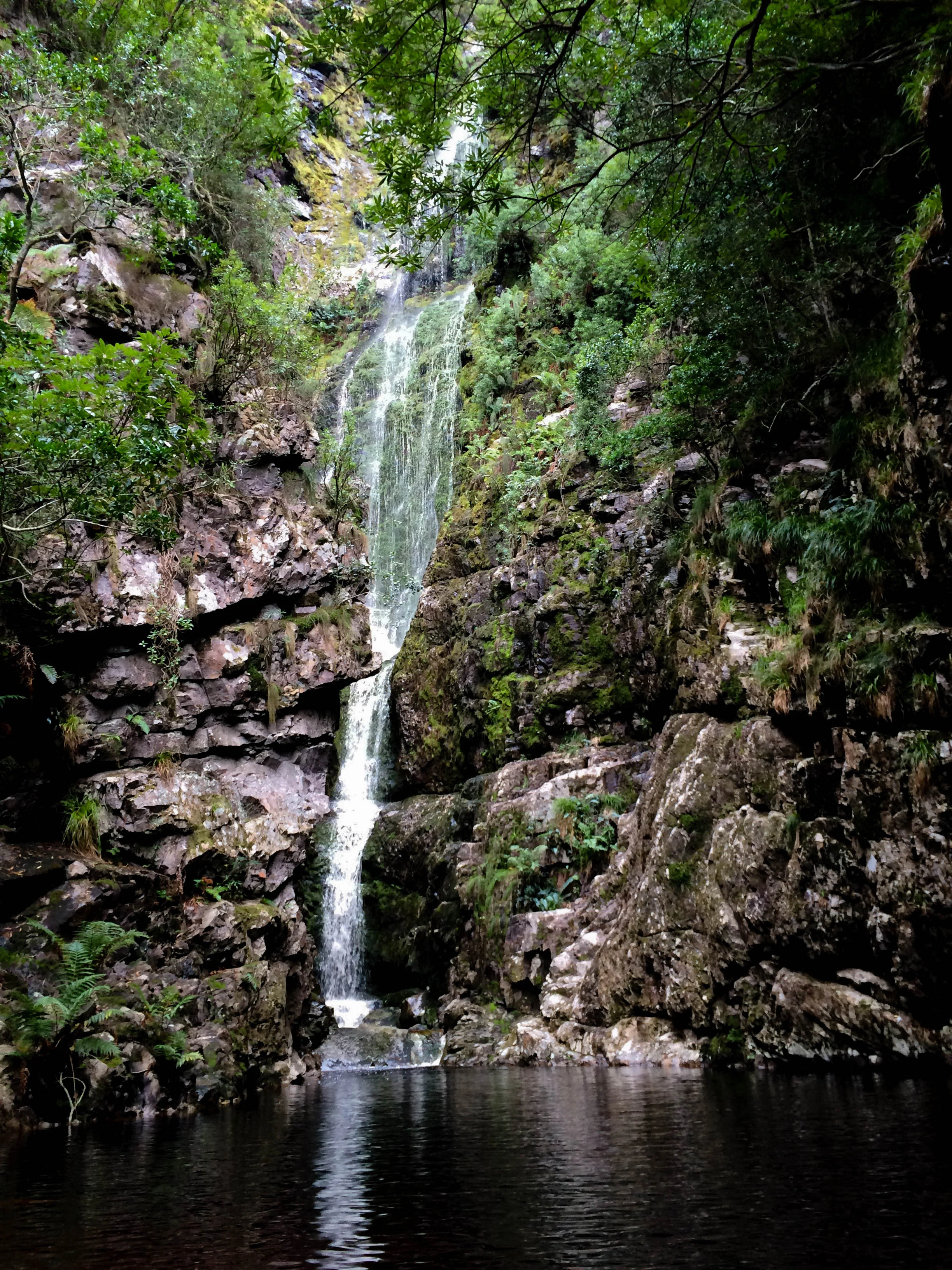 3 waterfall hikes to enjoy in and around Cape Town after it rains