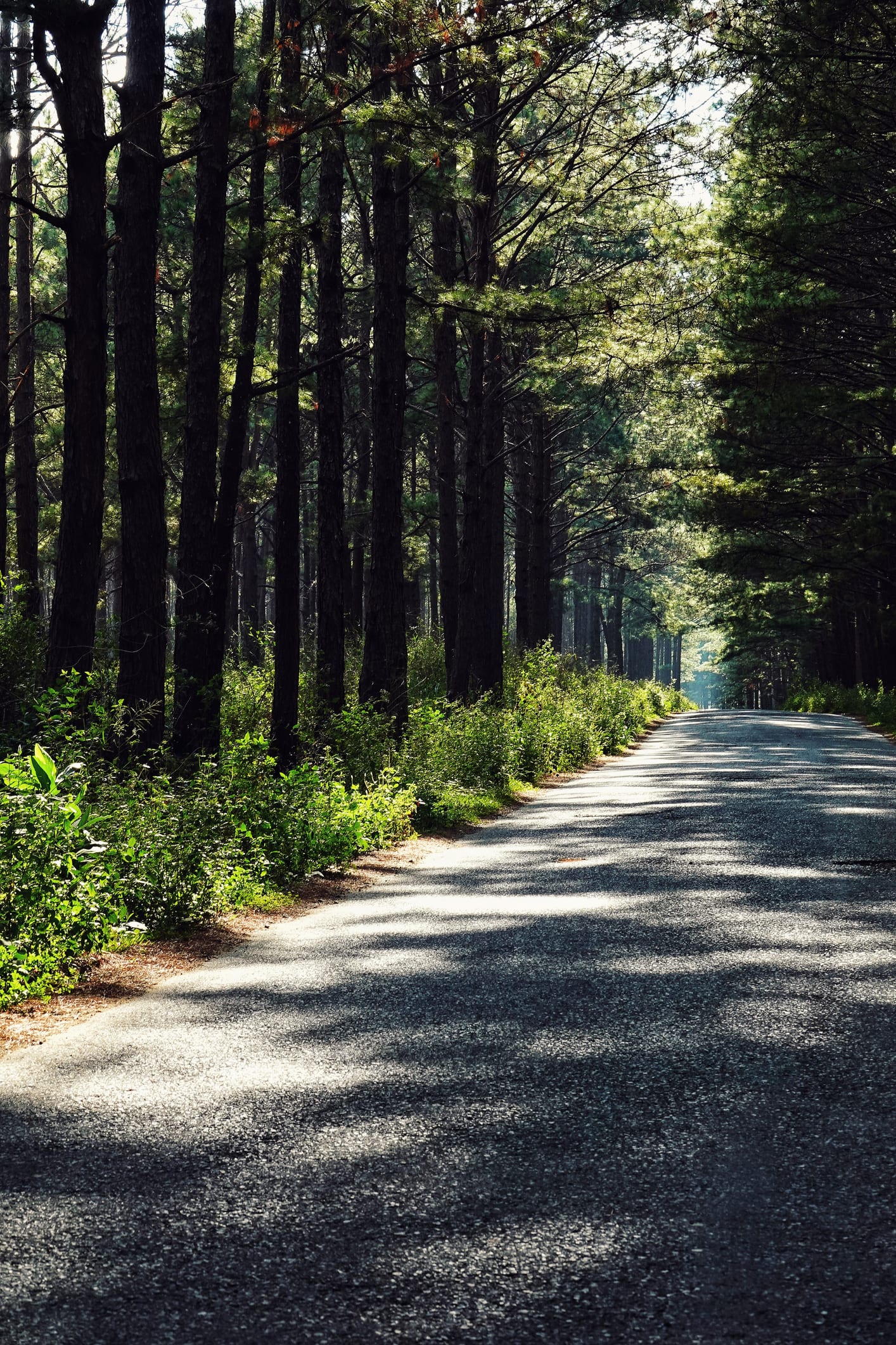 2022 - khởi động đột phá xây cao tốc