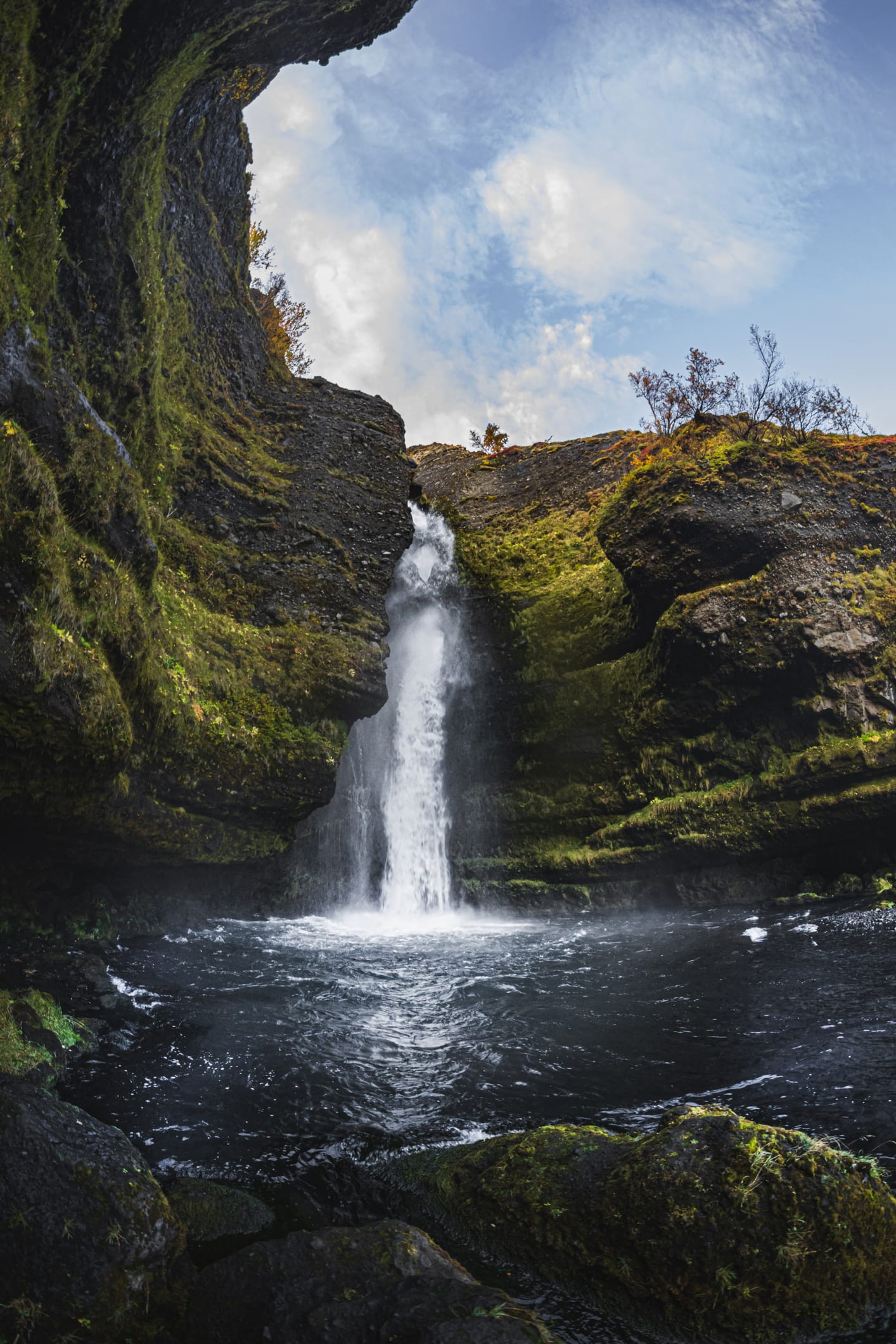 Incredible waterfalls surrounded by lush rainforest wows travellers