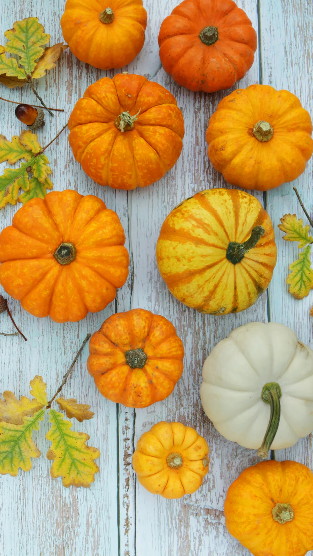 De la cocina española a tu mesa: Receta tradicional para hacer un calabaza frita en adobo