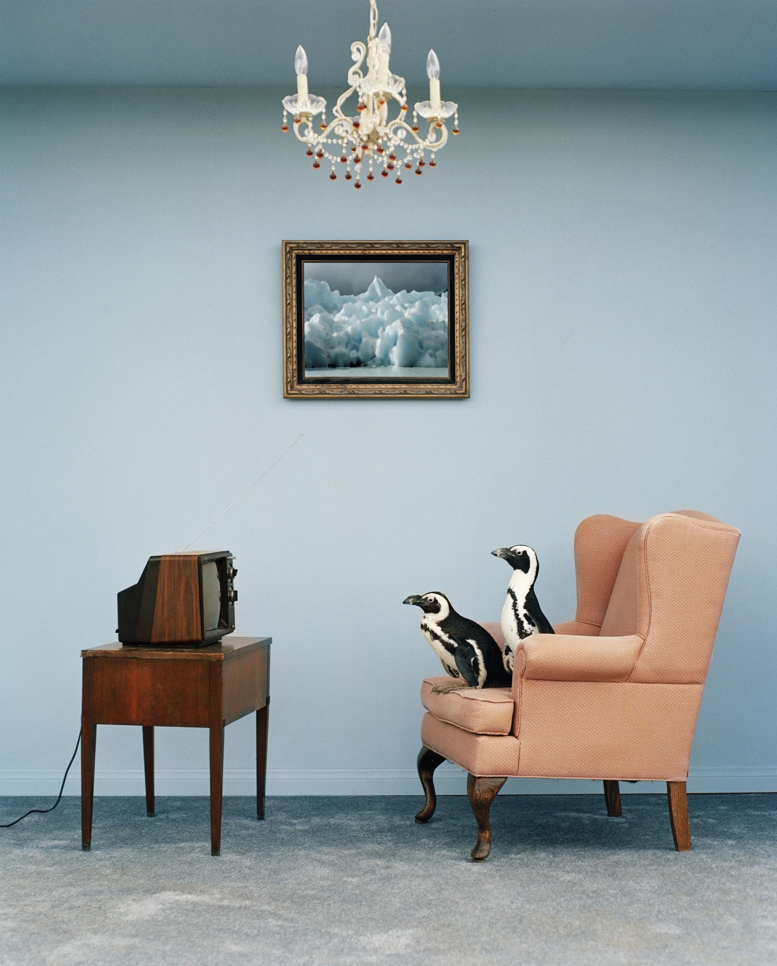 「チューナーレステレビ」って何？ 本当にNHK受信料は不要？