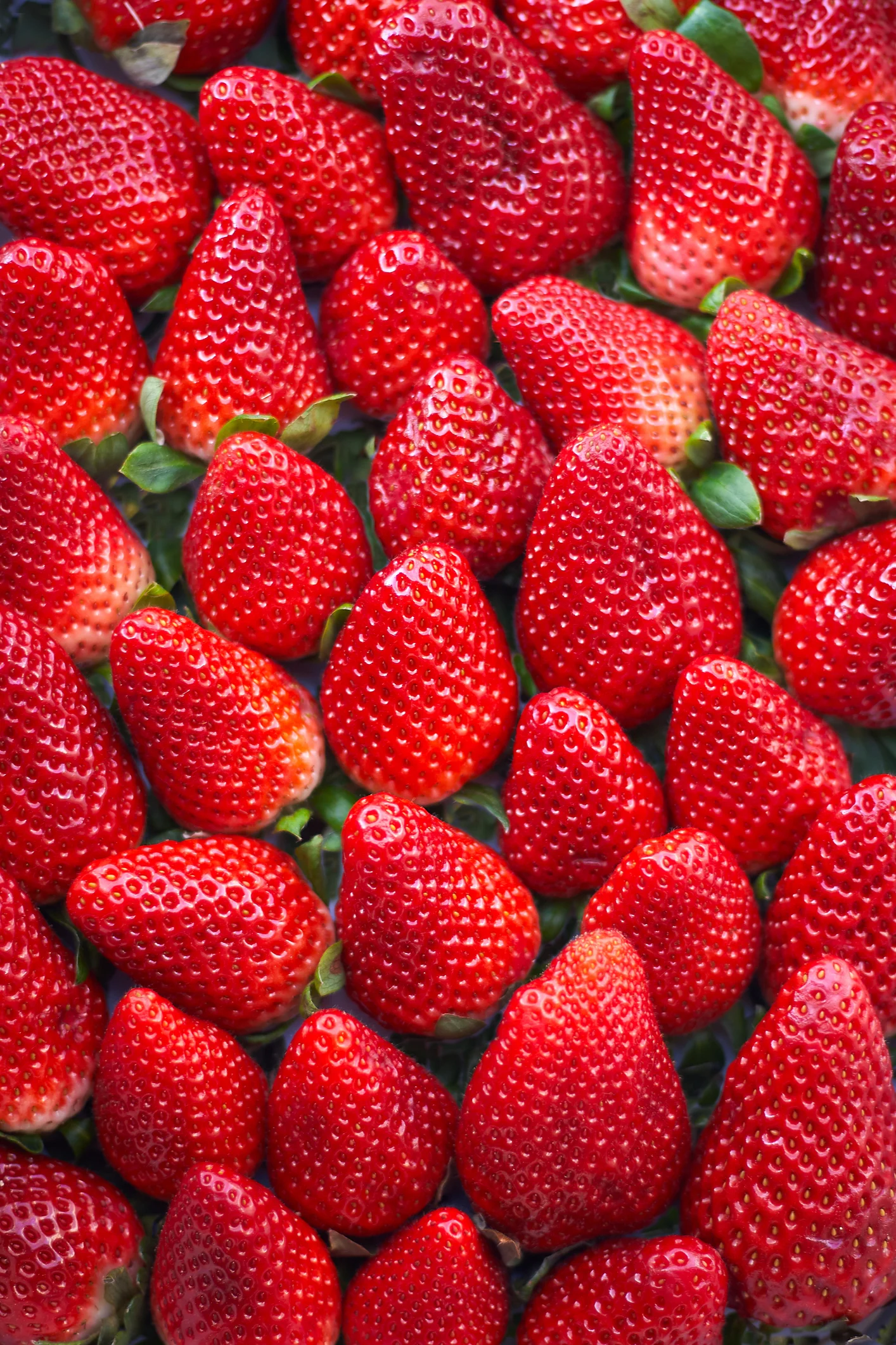 Todo sobre las fresas: las propiedades, beneficios y usos de esta fruta de temporada