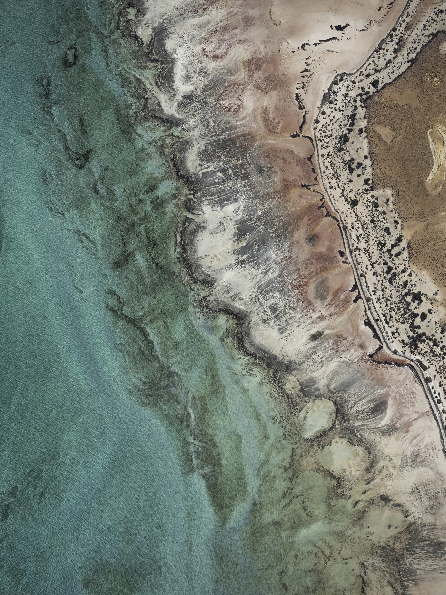 WA beaches yield earth's secrets