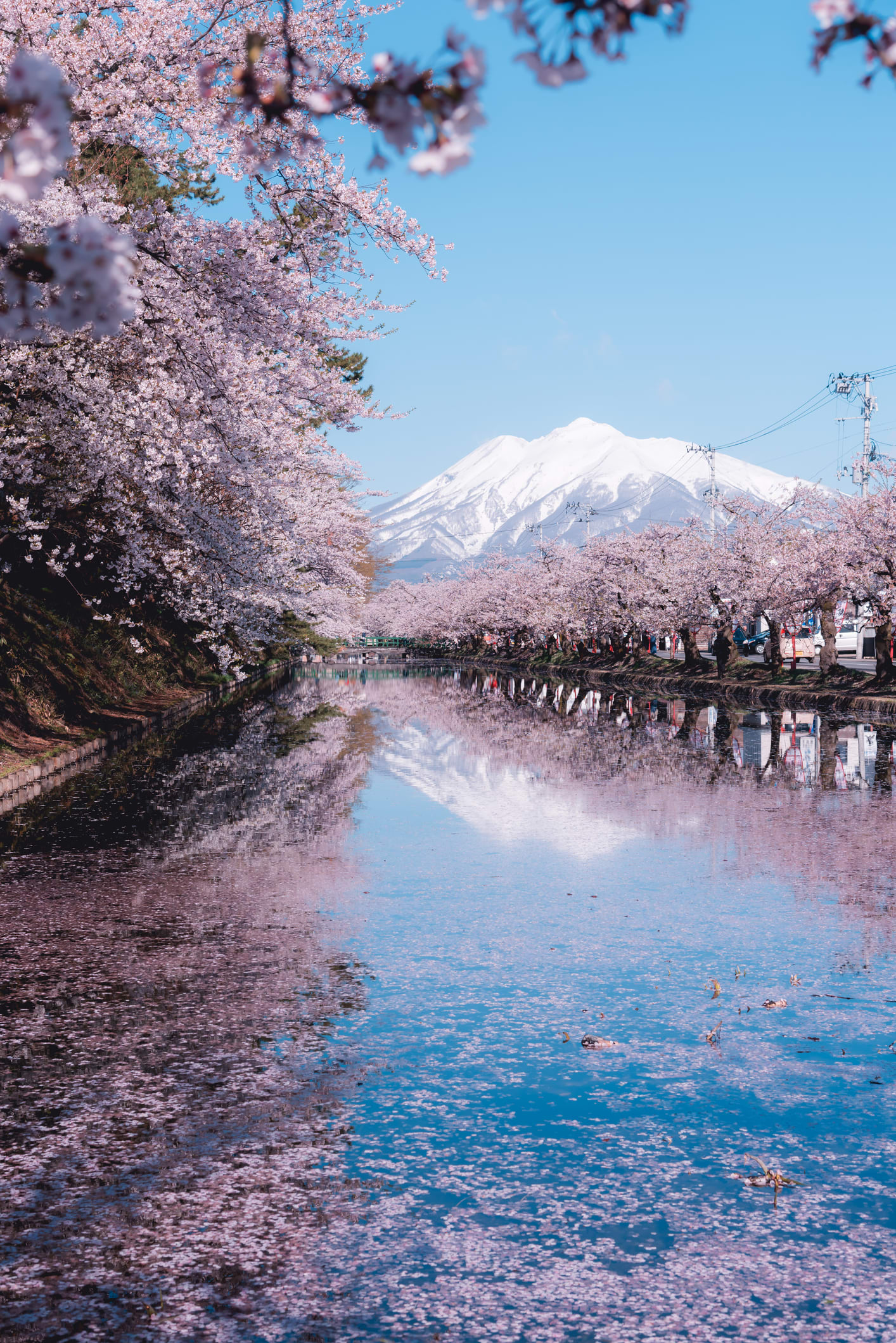 Le top des prénoms japonais pour fille et leurs significations