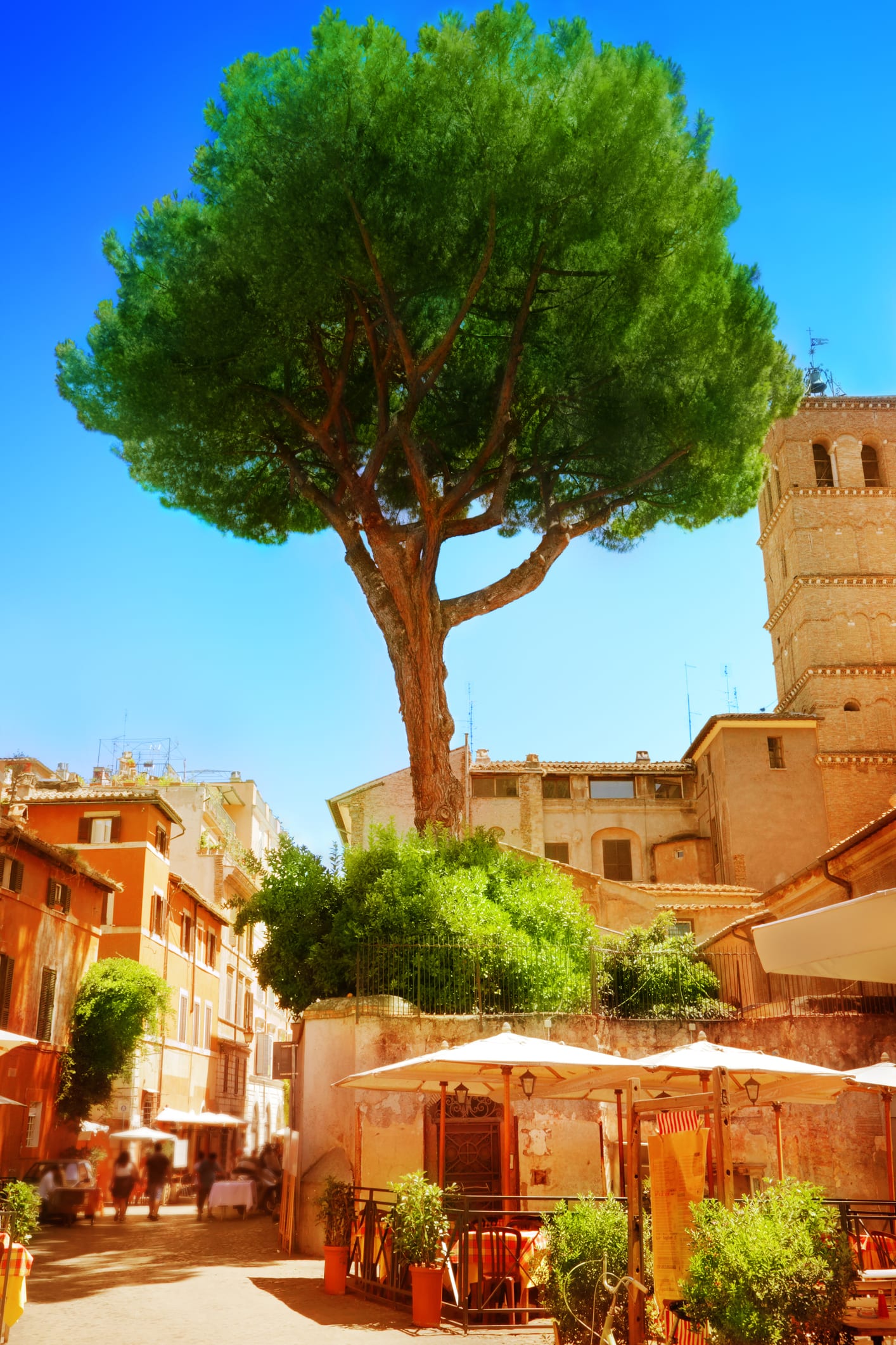 I've lived in Rome for 2 decades — here are 11 places that I think have the best food in the city