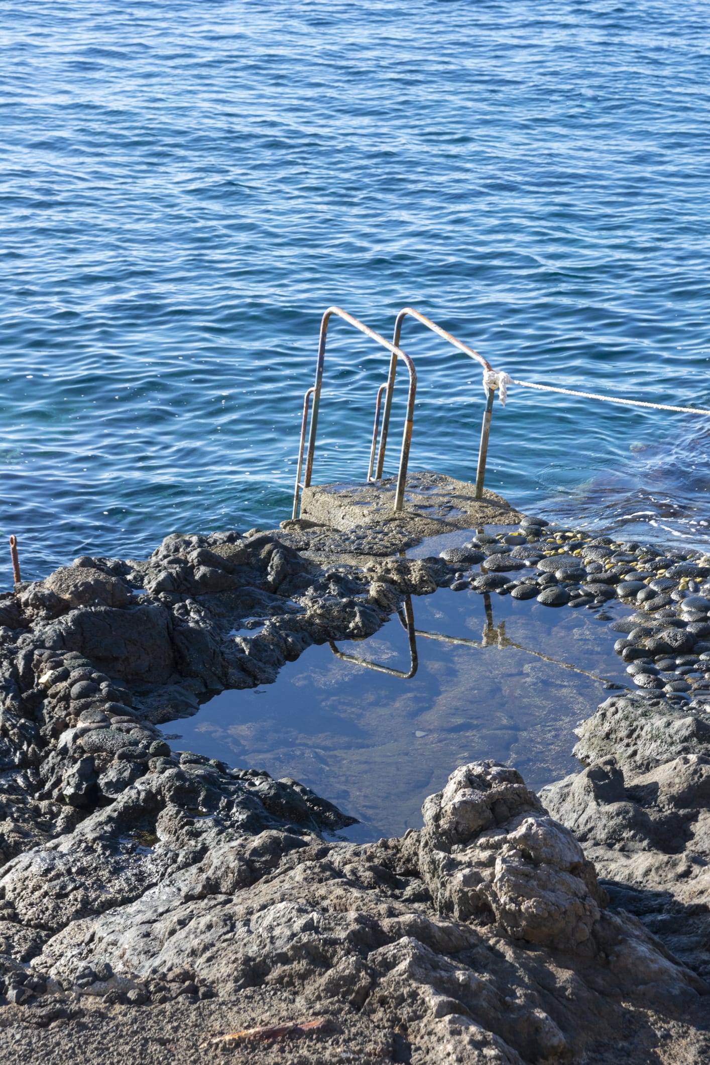 Perché è importante dire basta ai retini in spiaggia per catturare piccoli animali