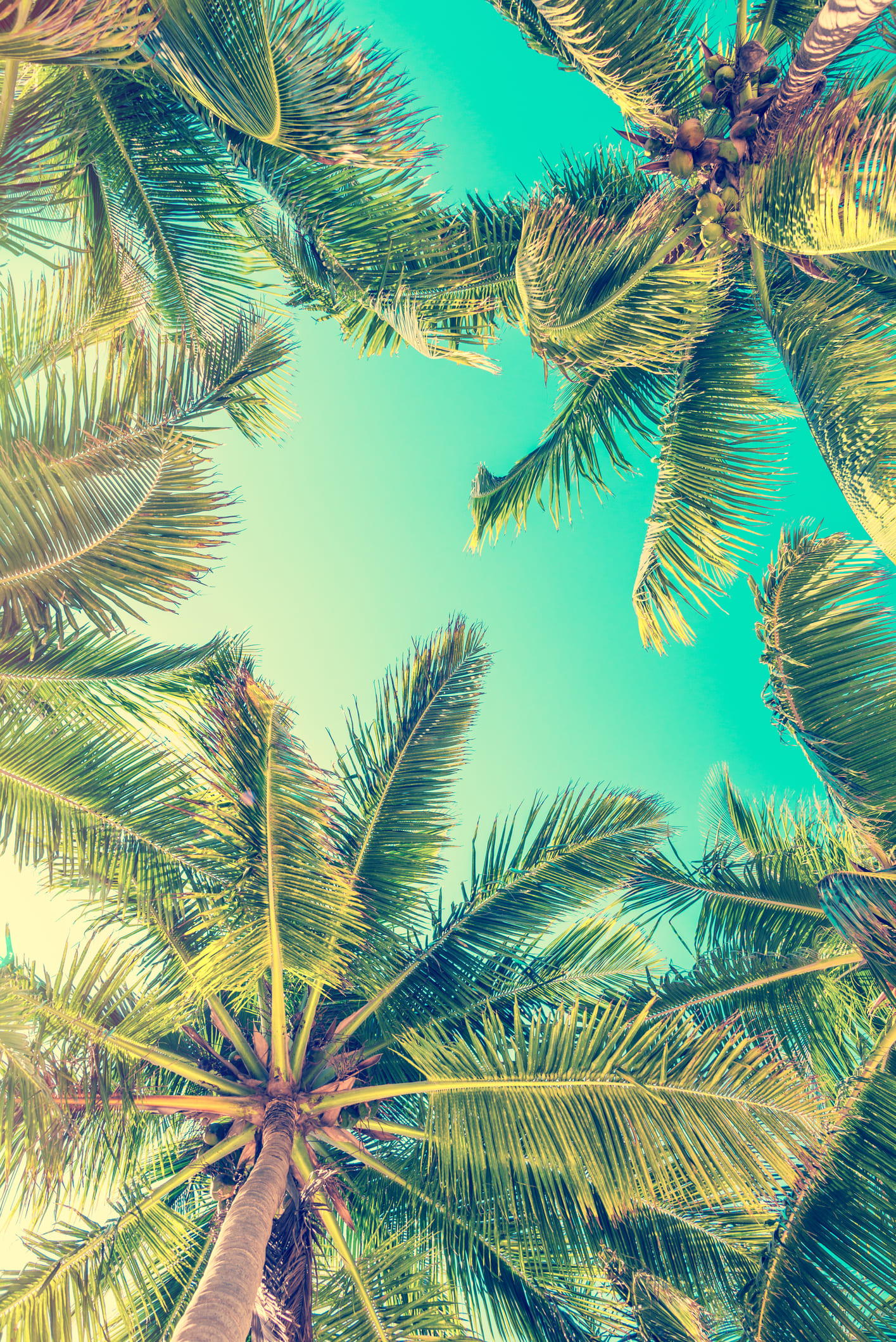 Inside the abandoned Coco Palms Resort that hosted stars like Elvis