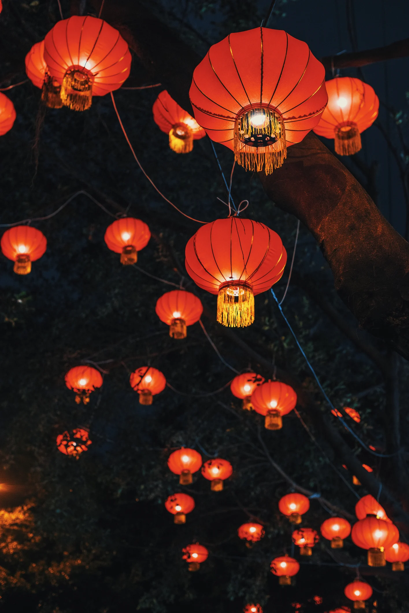 I proverbi cinesi più famosi: citazioni sagge e profonde