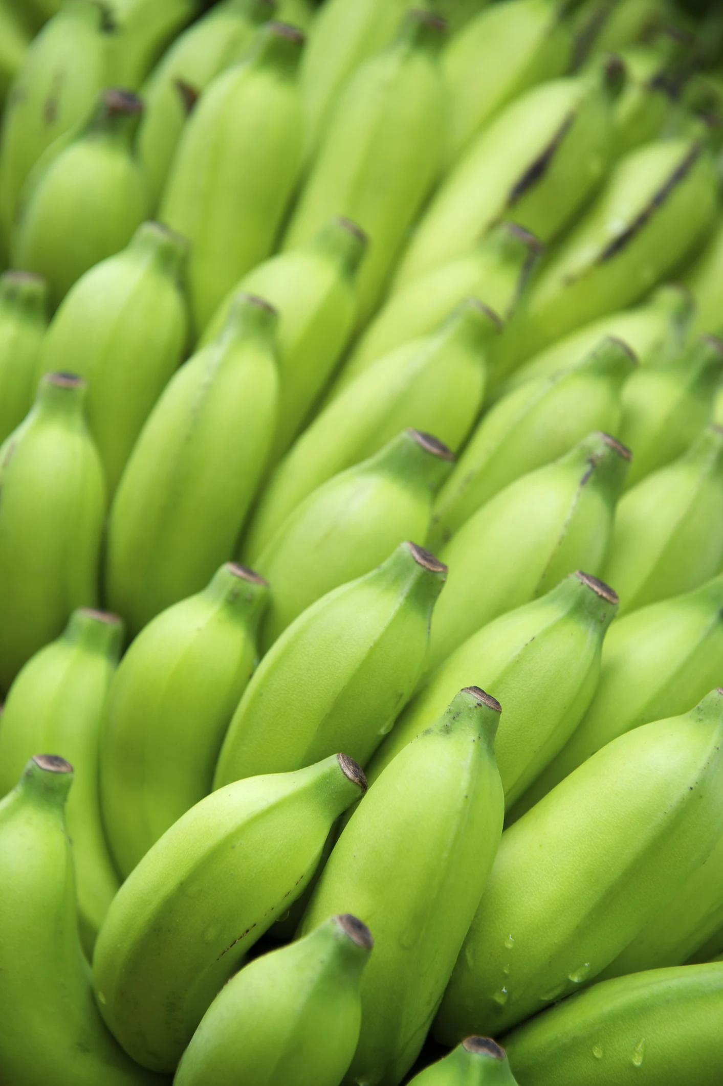 Three Creole recipes to give you a taste of the Caribbean