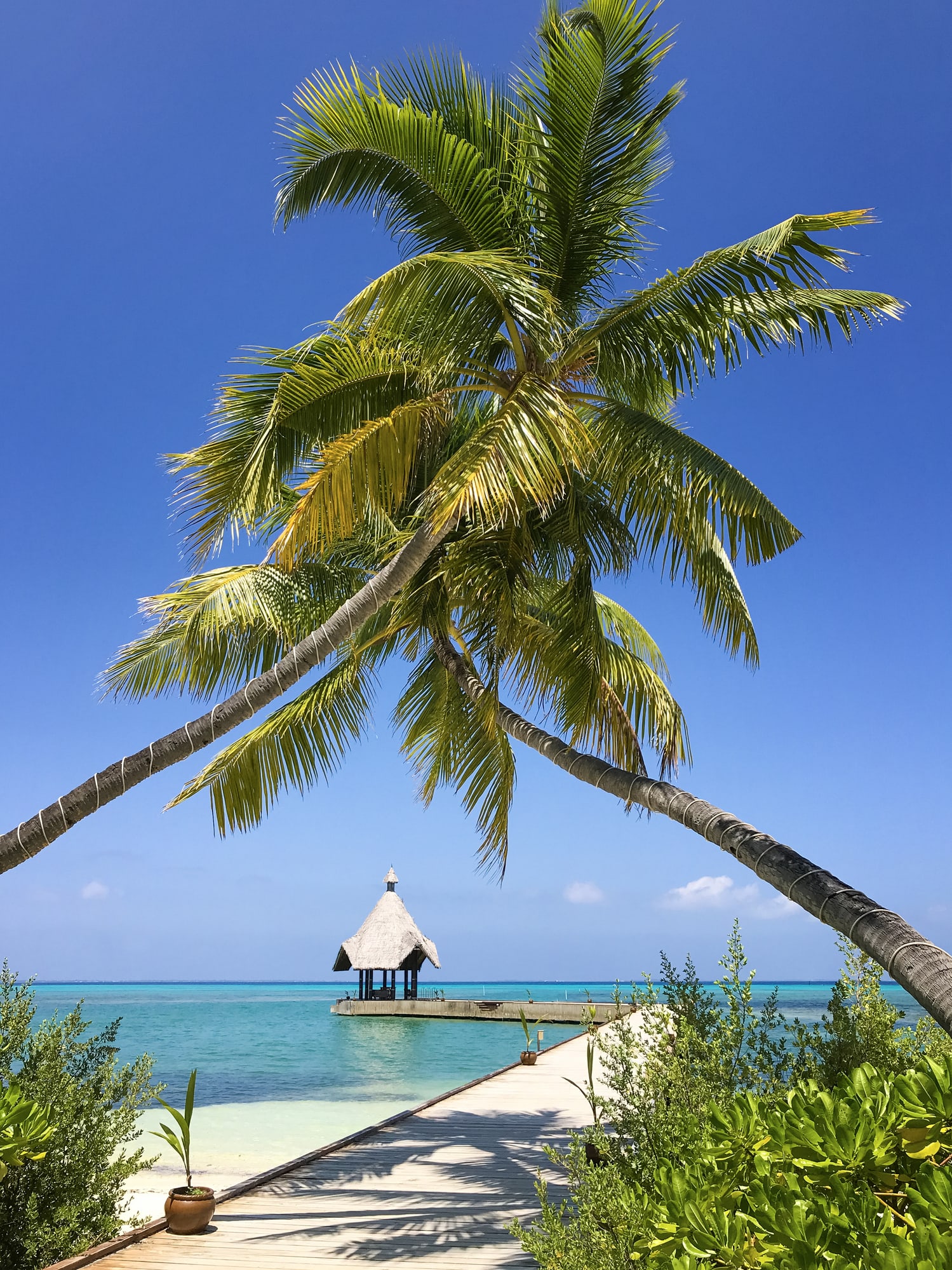 Cuánto tiempo antes de la exposición al Sol hay que aplicar el protector solar en la piel
