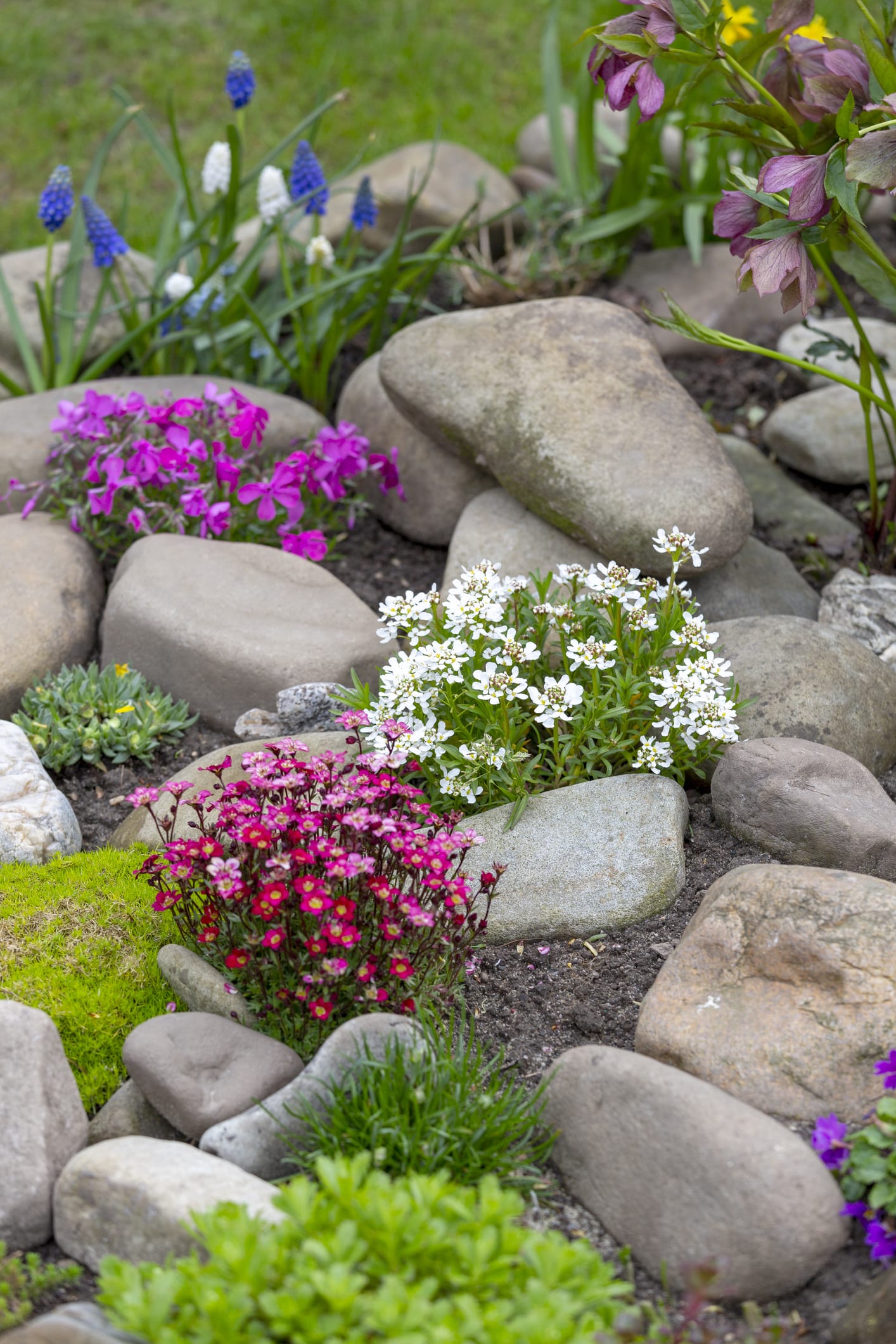Cuida tu hogar y el jardín de las ratas con estas claves