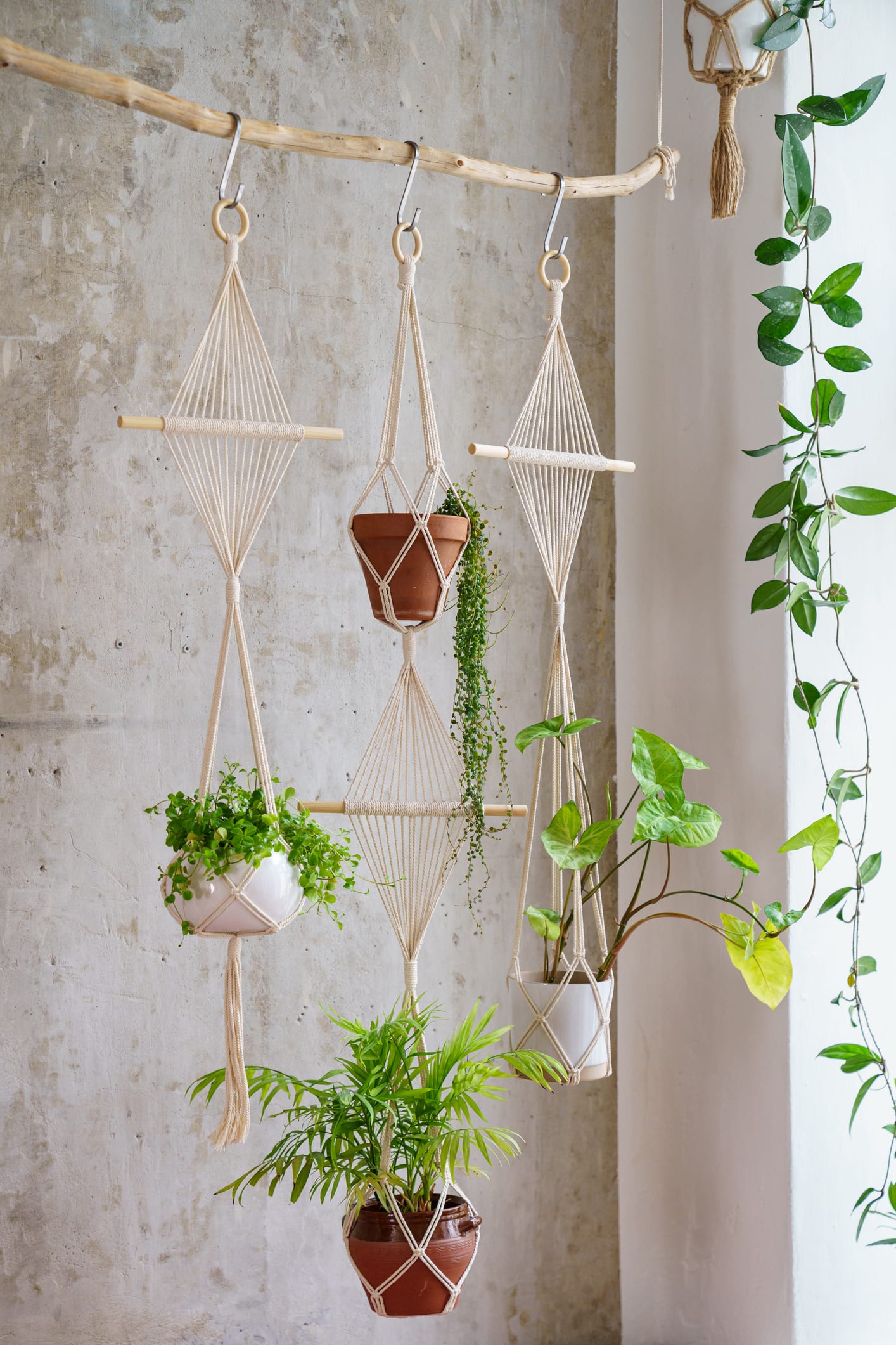A handy guide to hanging planters