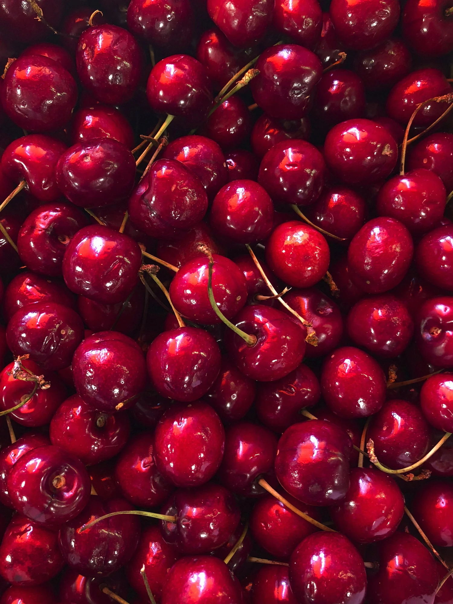 Користь черешні: 6 причин, чому варто частіше їсти цю ягоду