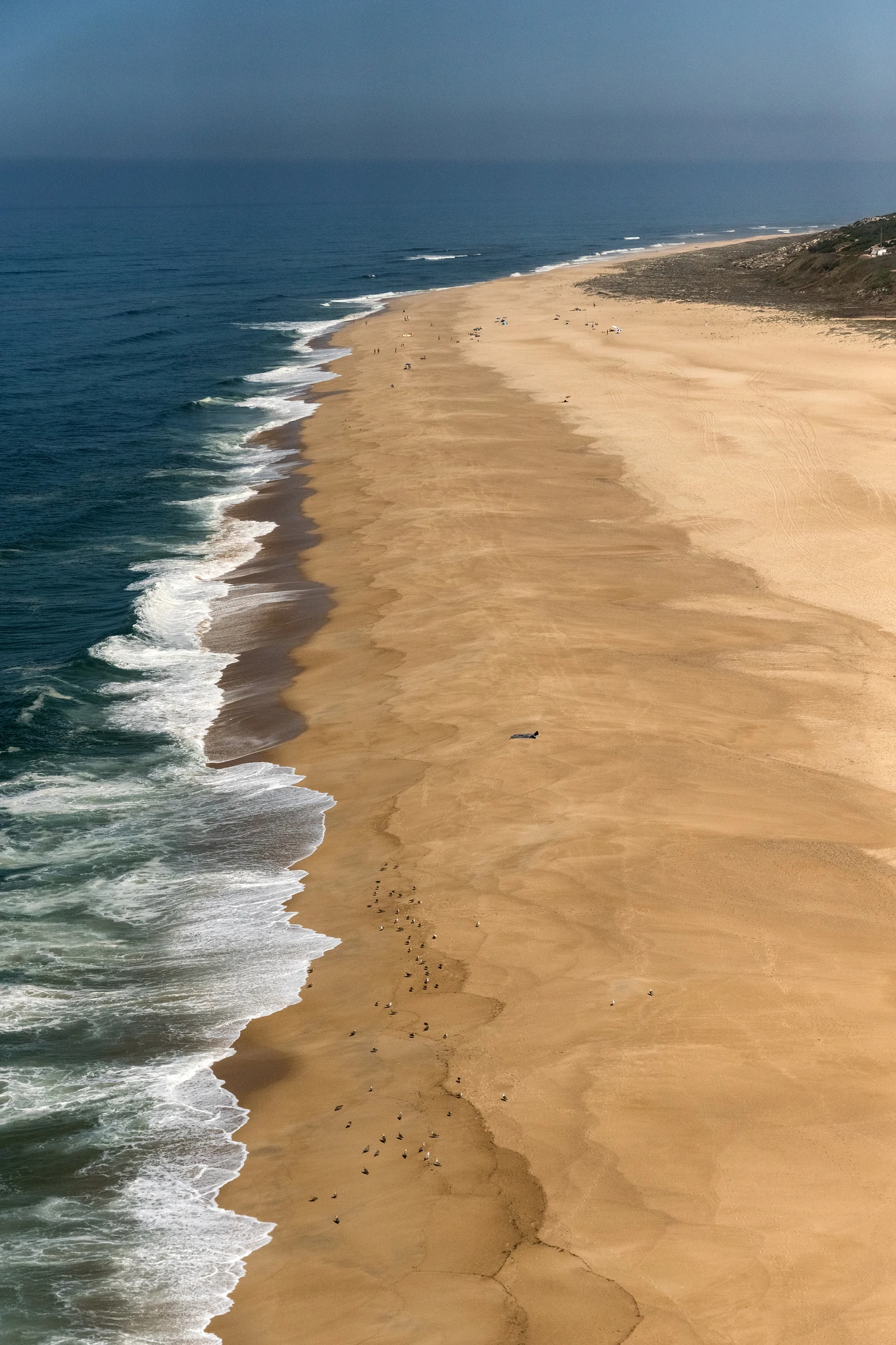 Nazaré : il bat le record du monde en surfant une vague d'une hauteur de 26 mètres