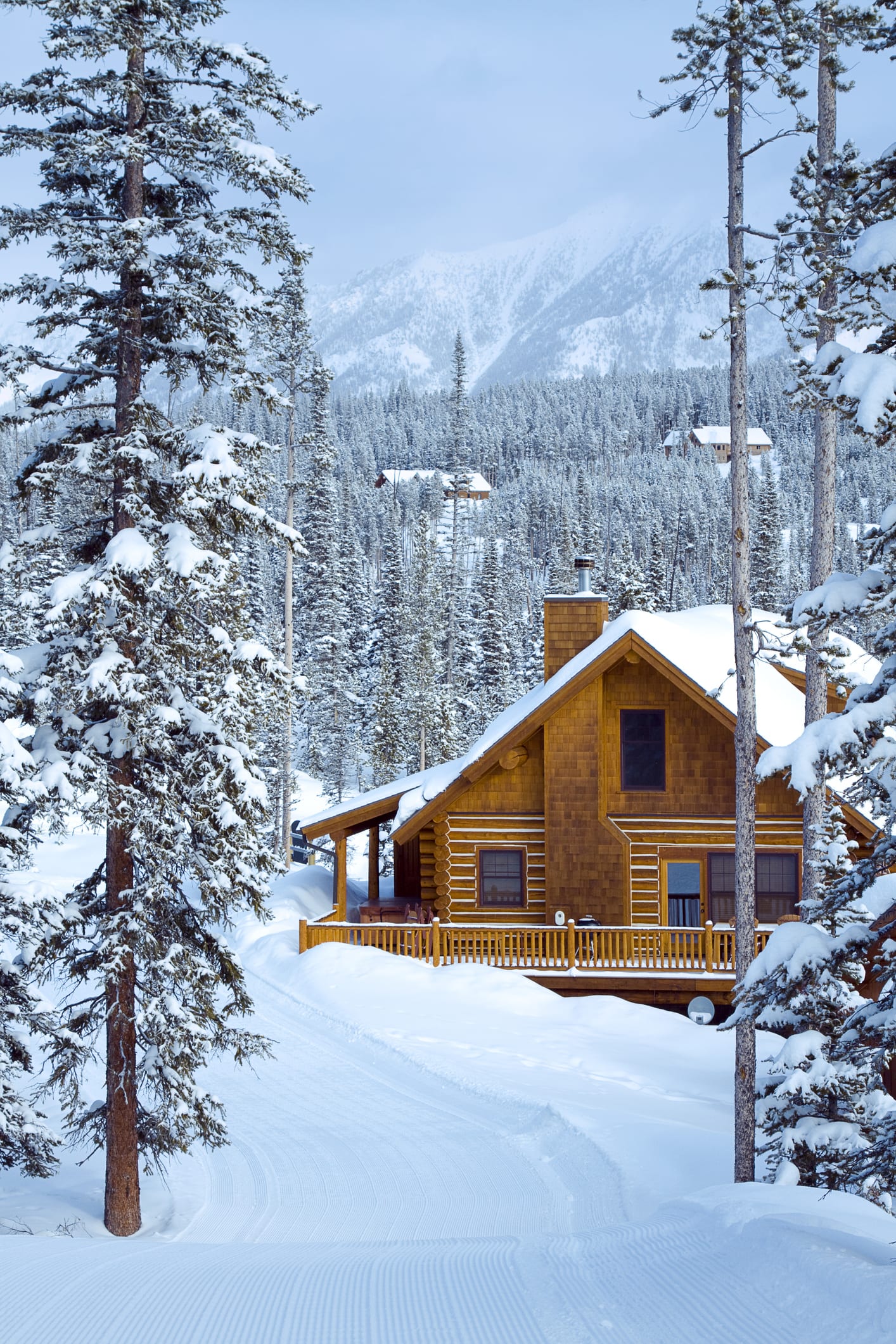 Wow! This Family Turned Their Farm Lot Into A Private Resort With Modern Cabins And A Pool!