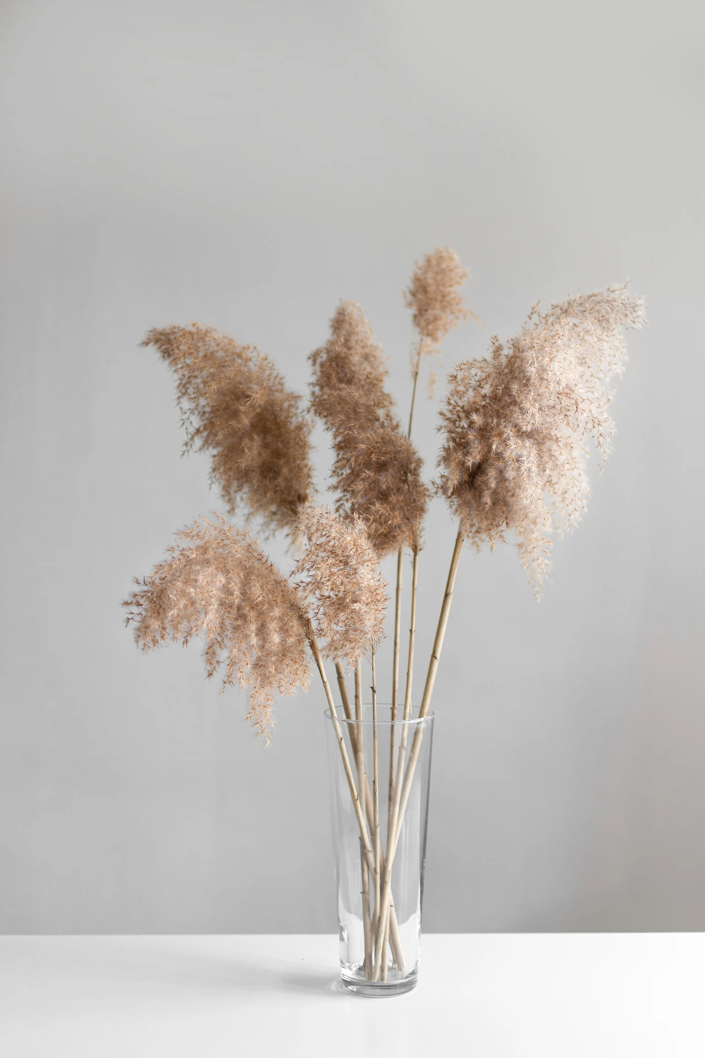 The best dried flowers for summer 2022