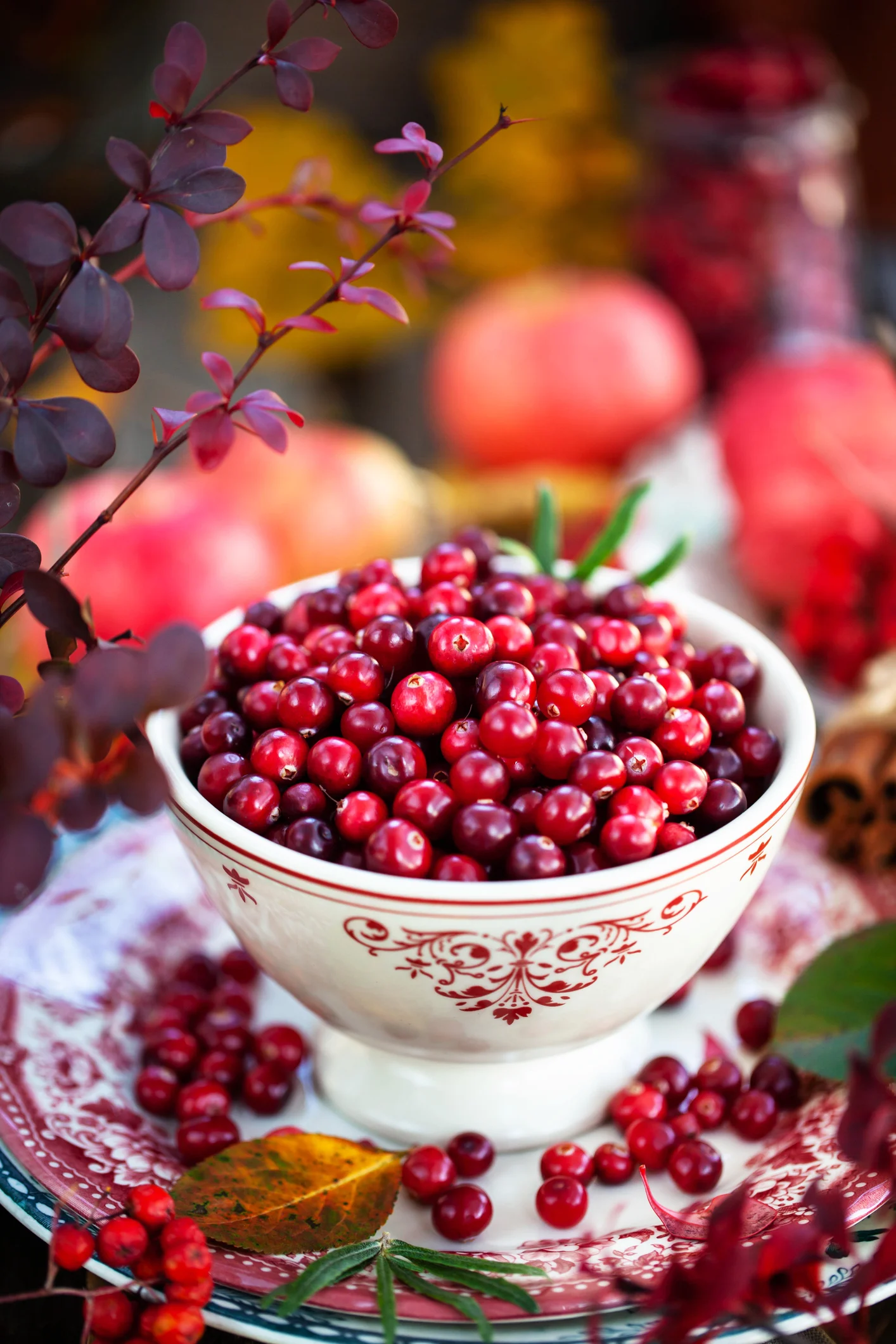 فاكهة صغيرة تتمتع بقدرة هائلة على إذابة الدهون الخطيرة في البطن