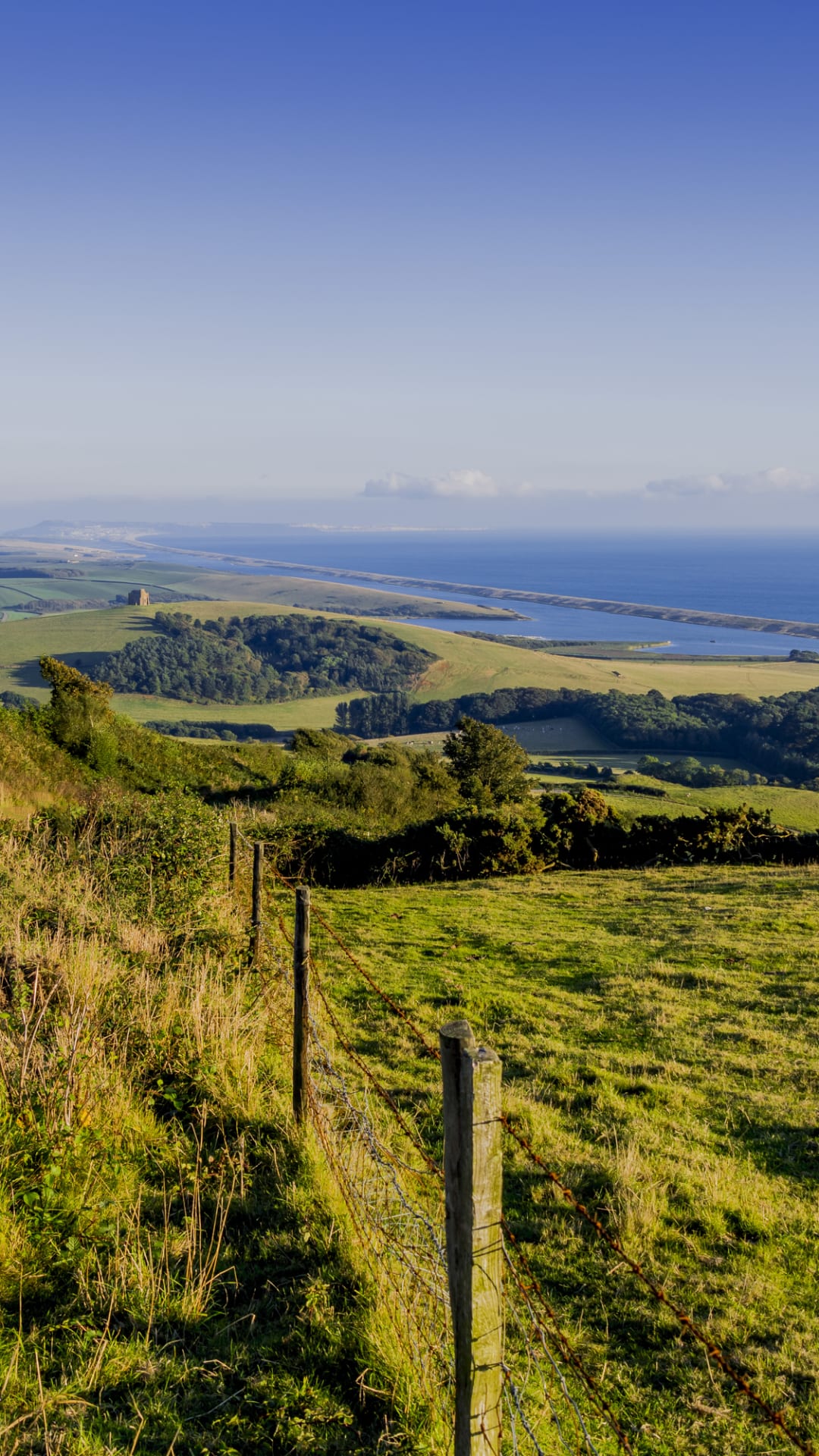 ‘Stunning’ village in Dorset named one of the prettiest in the UK