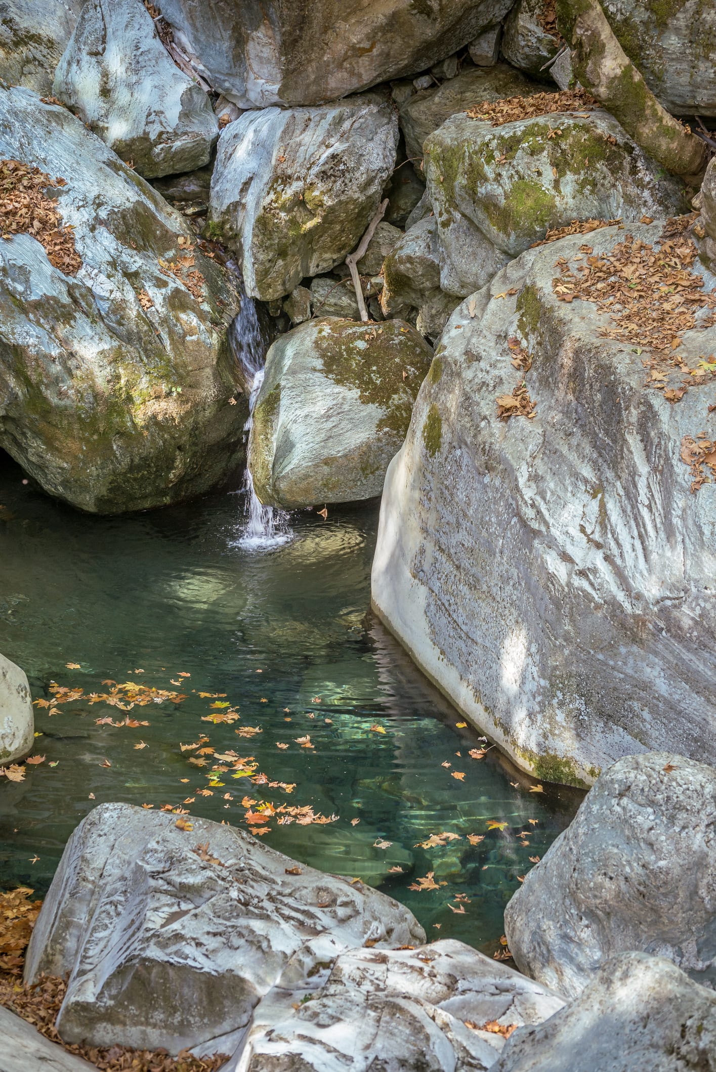 Ο κρυμμένος «θησαυρός» της Βοιωτίας (video)