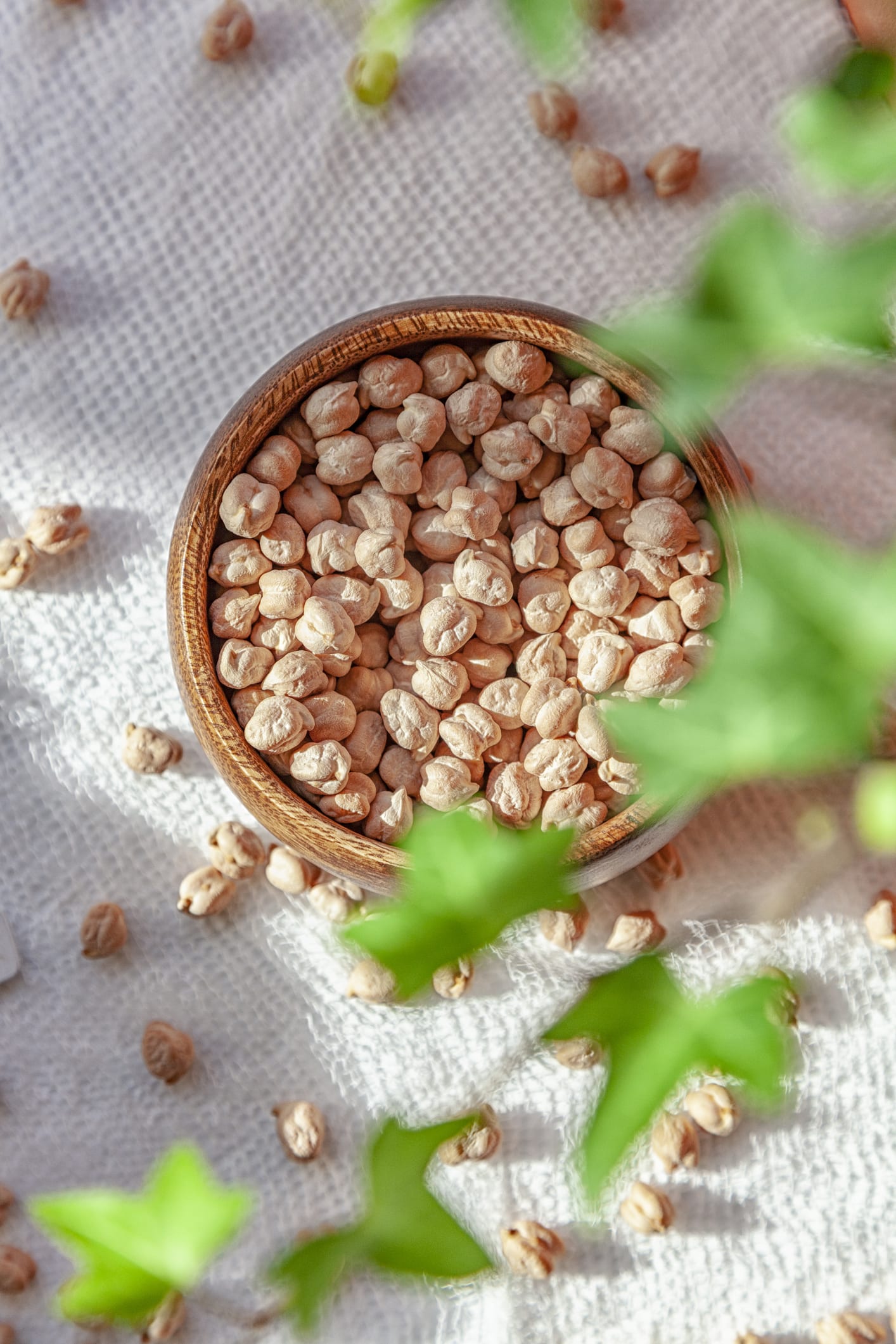 8 เหตุผลที่ควรกินโปรตีนจากพืช ชีวิตที่เลือกได้ของ 