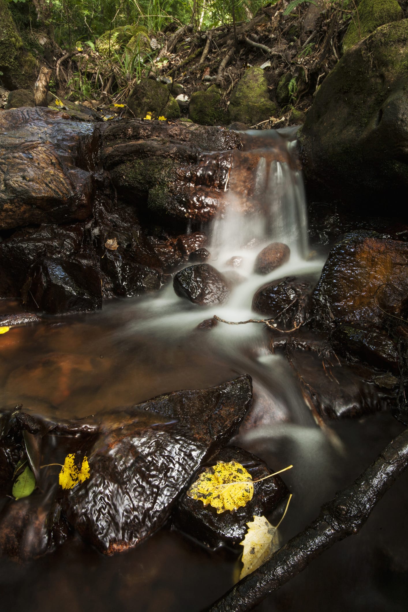 3 waterfall hikes to enjoy in and around Cape Town after it rains