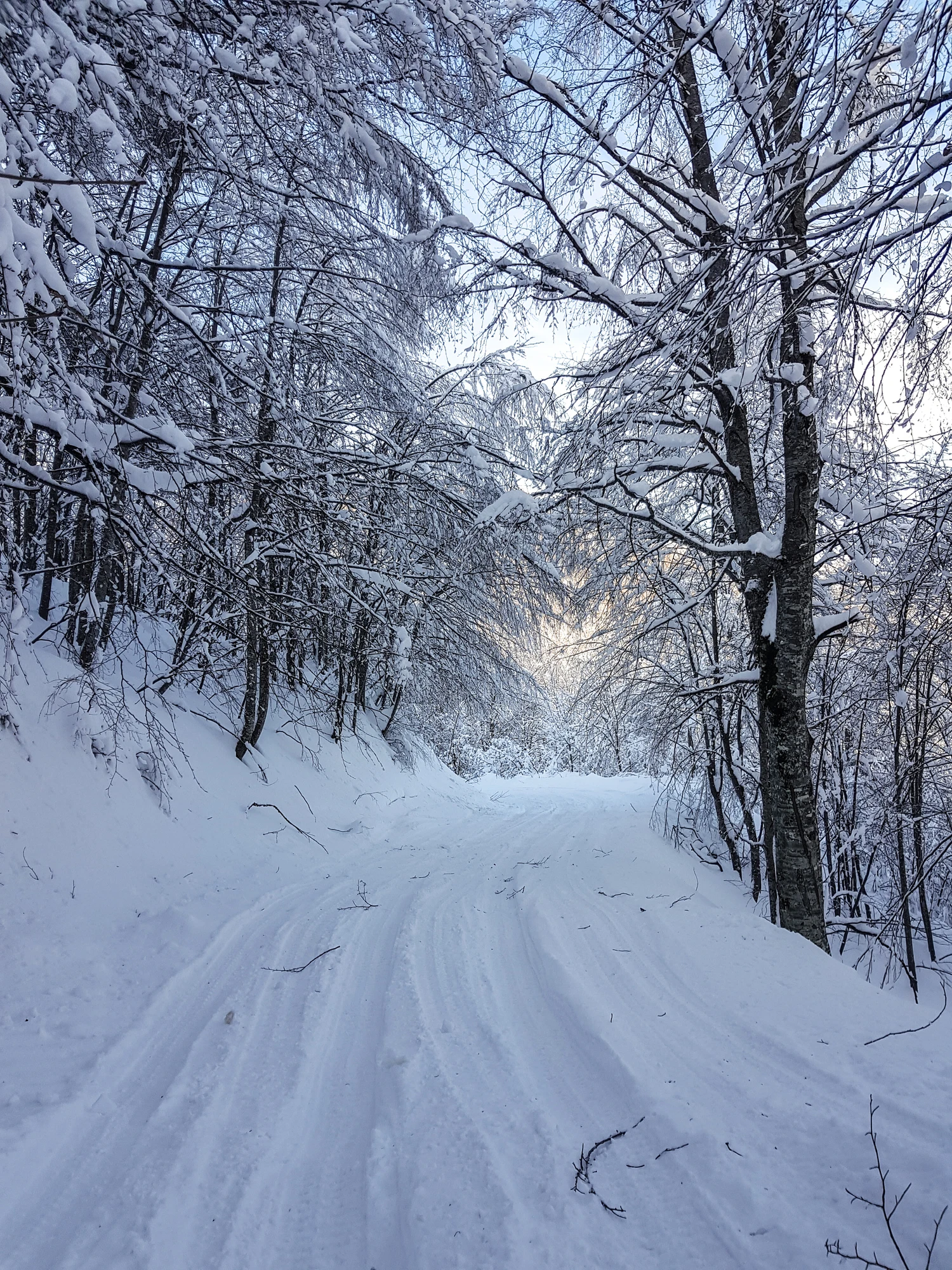 Heavy snowfall in Turkey disrupts flights, road traffic