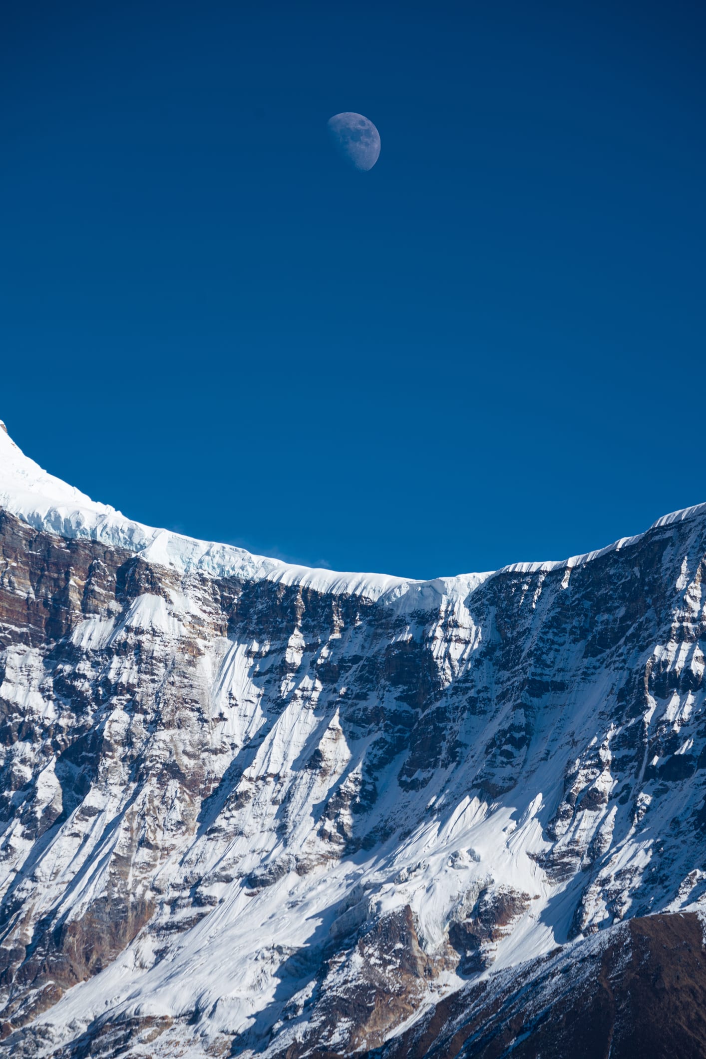Scoperte mille specie di microbi nei ghiacciai del Tibet: l’82 percento è sconosciuta