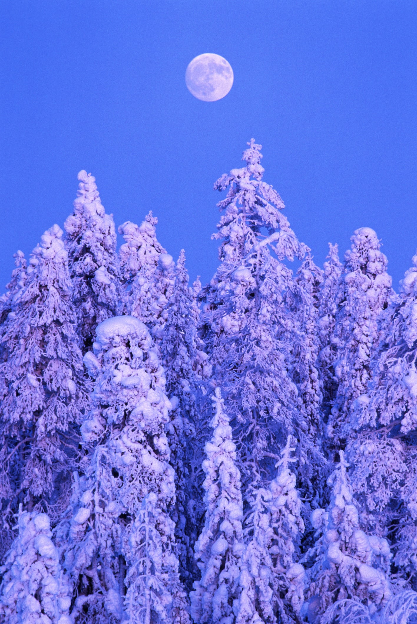 The Full Moon In Aquarius Wants You To Practice Forgiveness