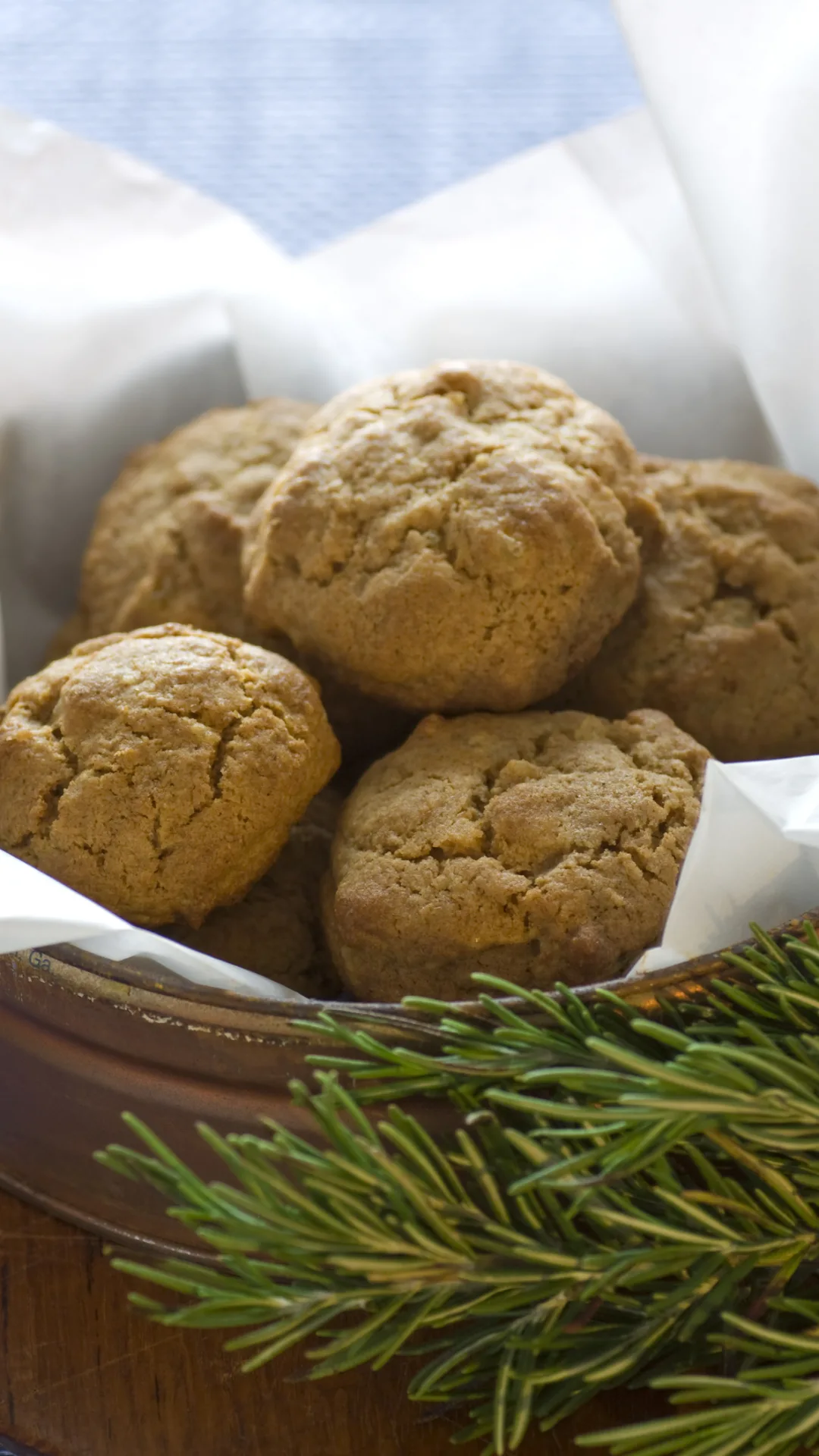 Ginger Jump-Up Cookies