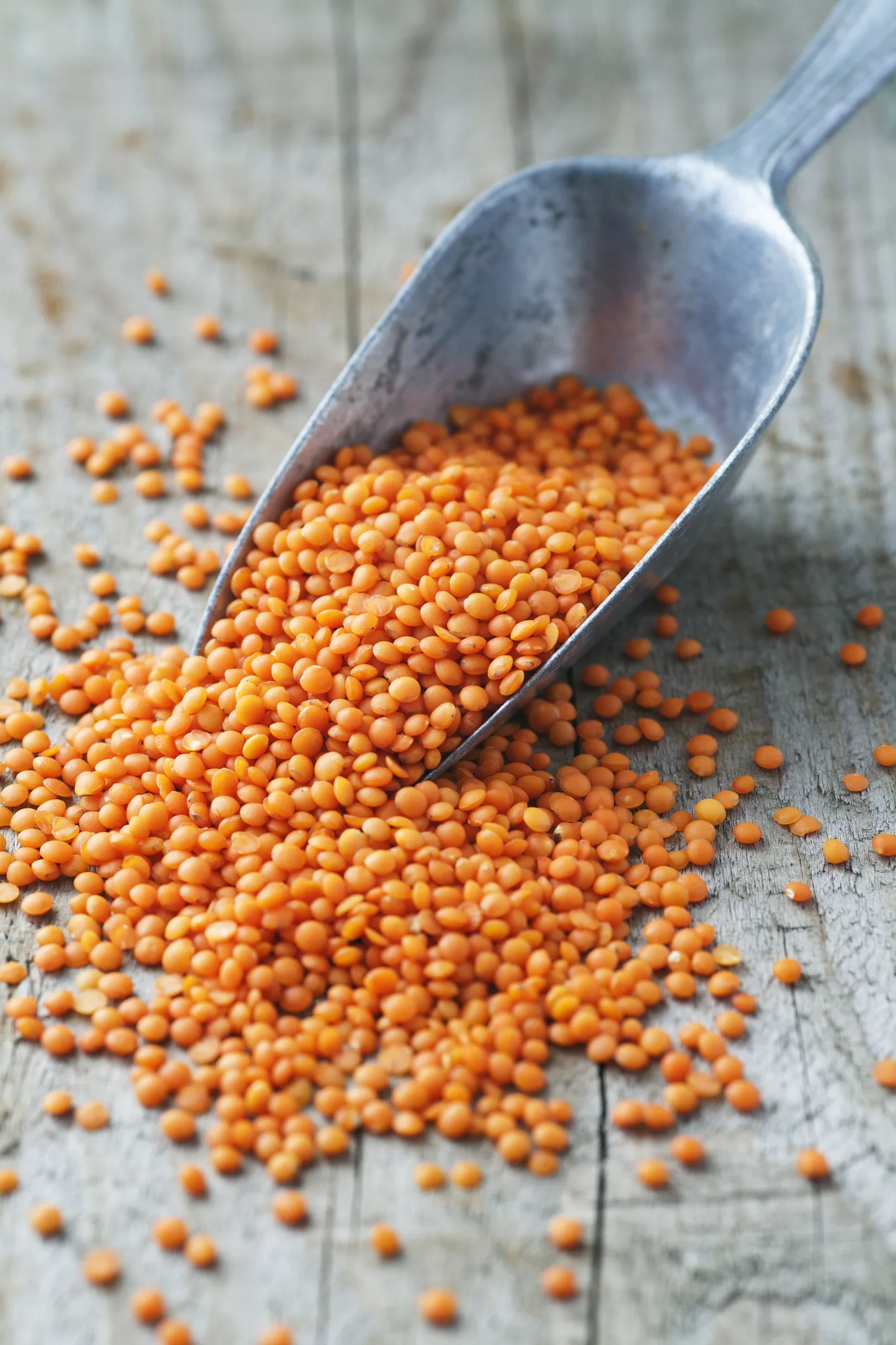 هذه الفئات ممنوعة من تناول العدس