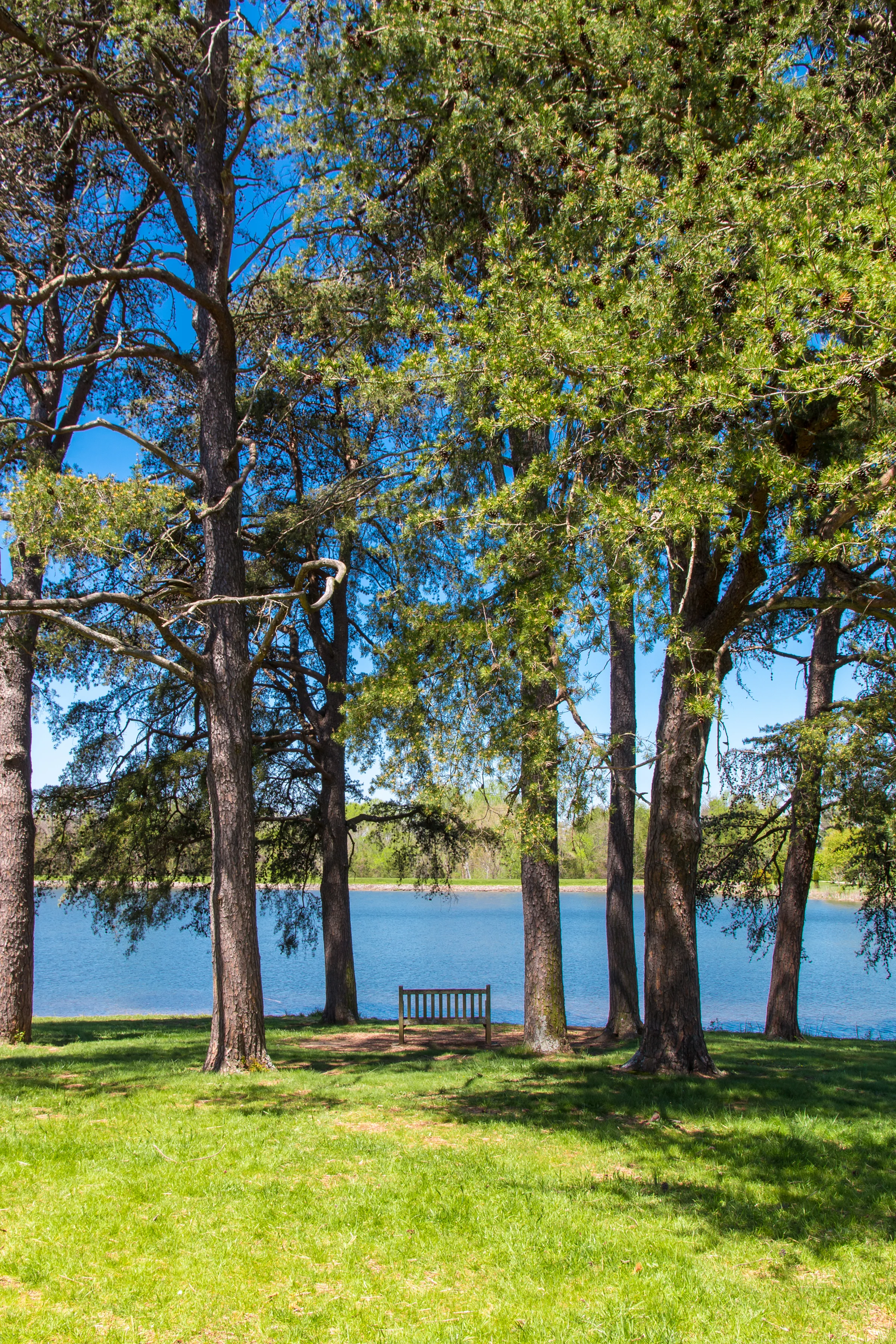 10 of the best tranquil green spaces across the Southeast