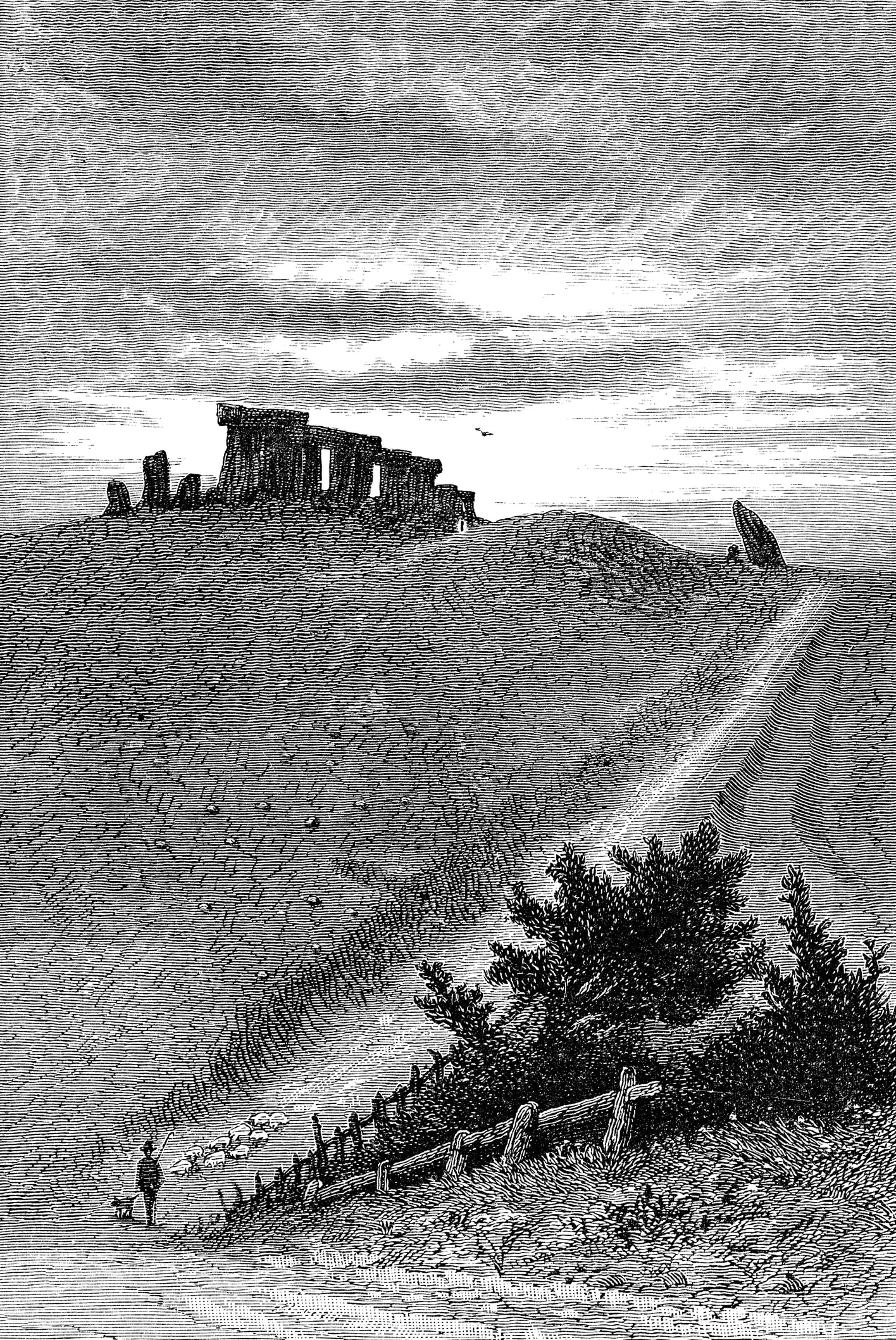 “Vi svelo il mistero di Stonehenge: era un mega-calendario”