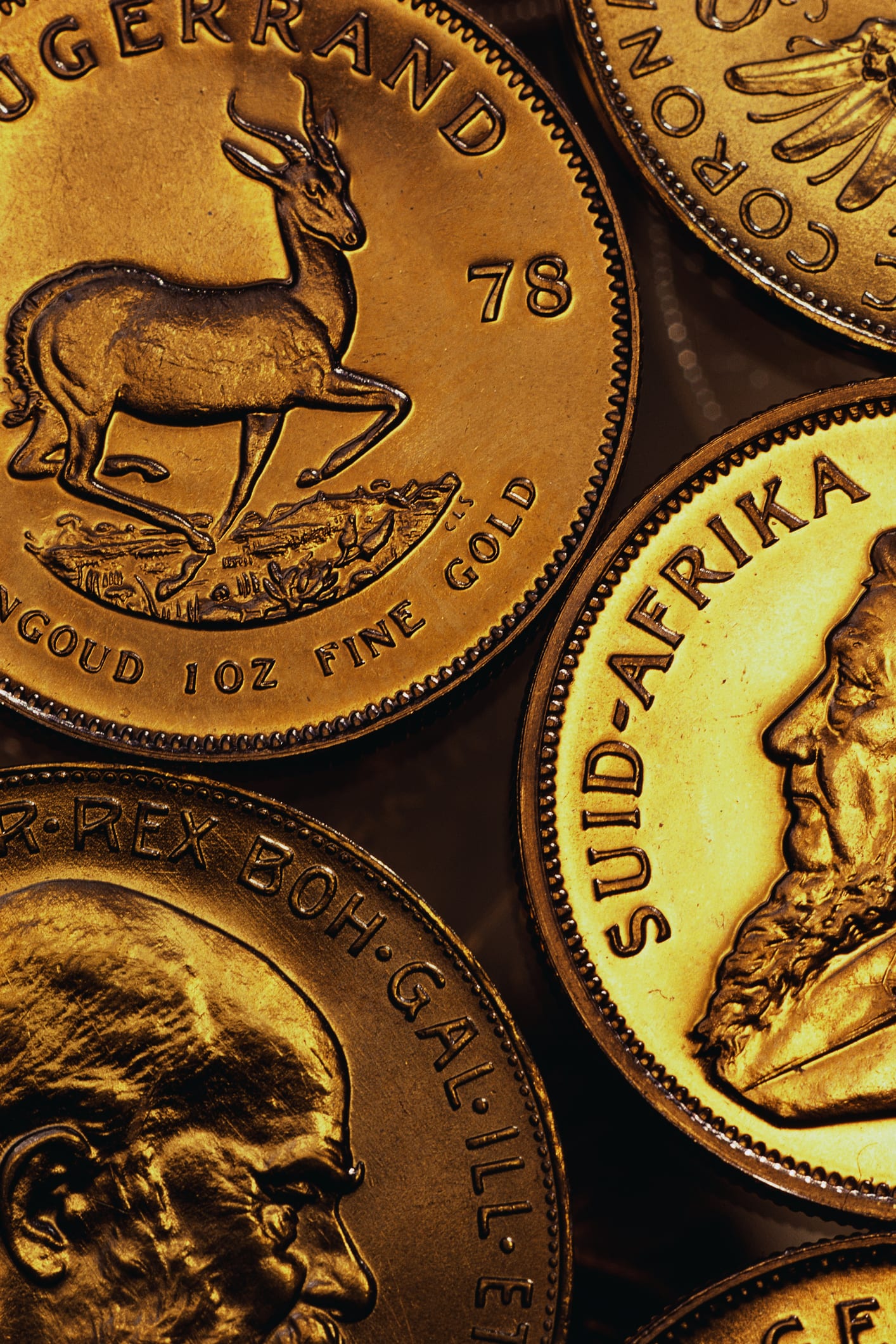 Mums reveal an unusual 'bag hack' to banish flies for good