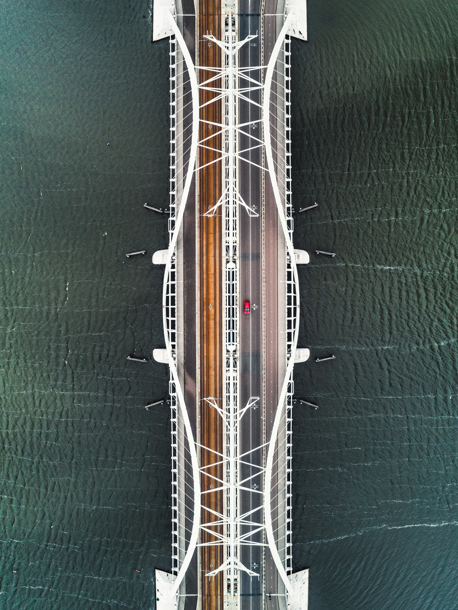 What killed tons of fish in European river? Mystery deepens