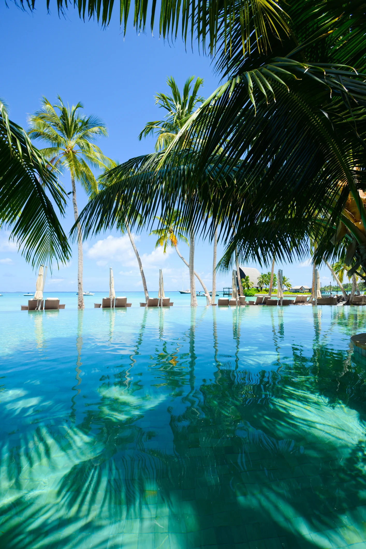 Scientist reveals why sunscreen sprays are the WORST purchase