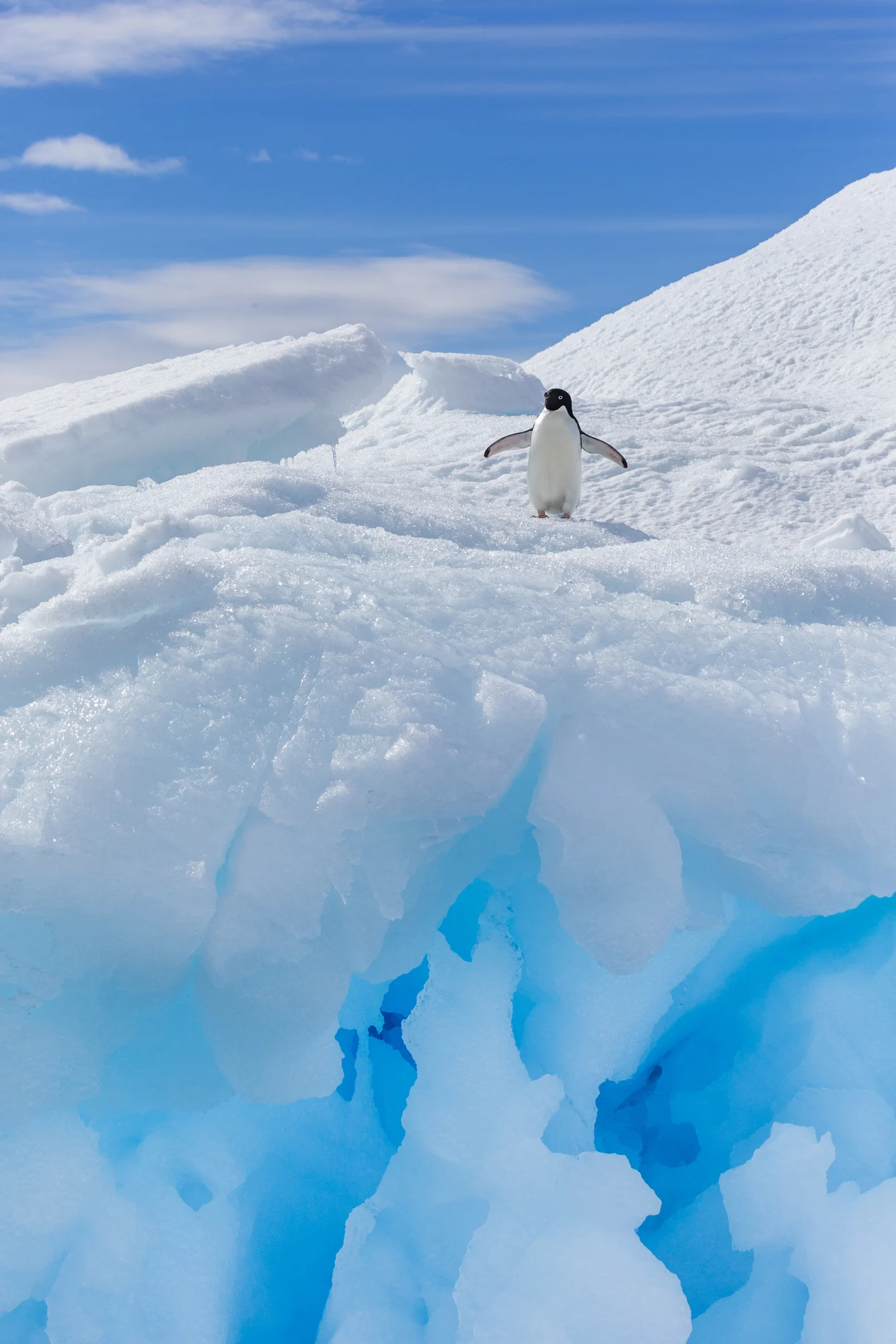 Antarctica is about to get its first submarine internet cable