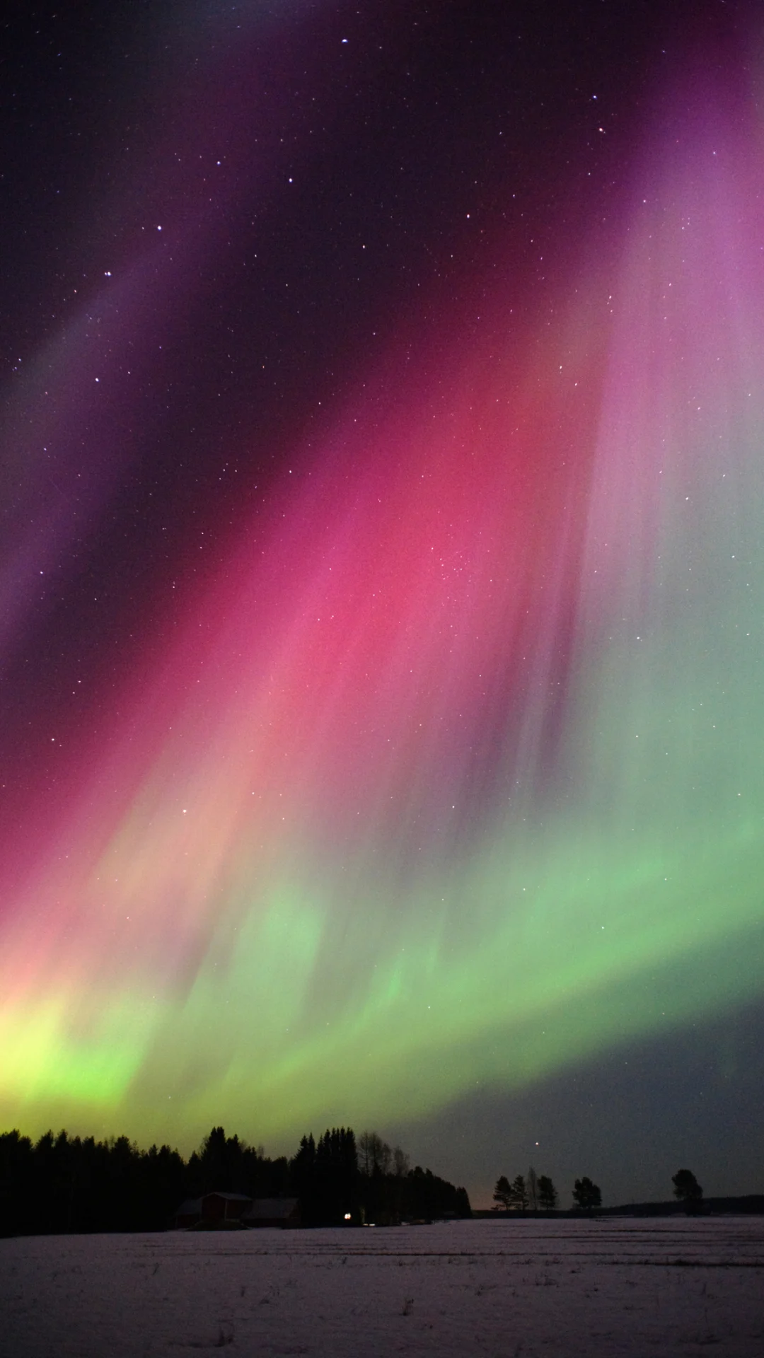 ¡Magia en el cielo! Guía para ver auroras boreales