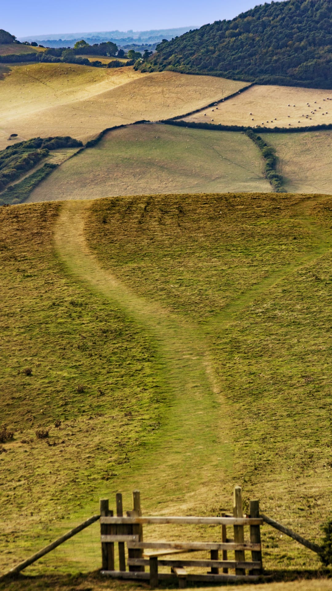 ‘Stunning’ village in Dorset named one of the prettiest in the UK