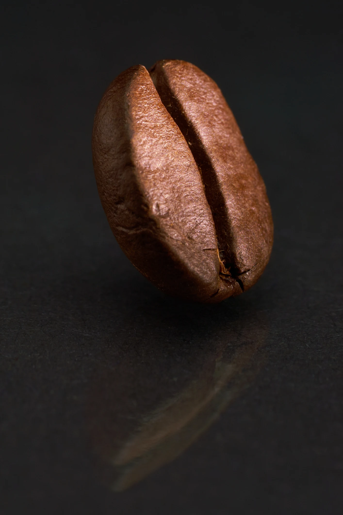 คอกาแฟได้เฮ ชีวิตอยู่ยาว?