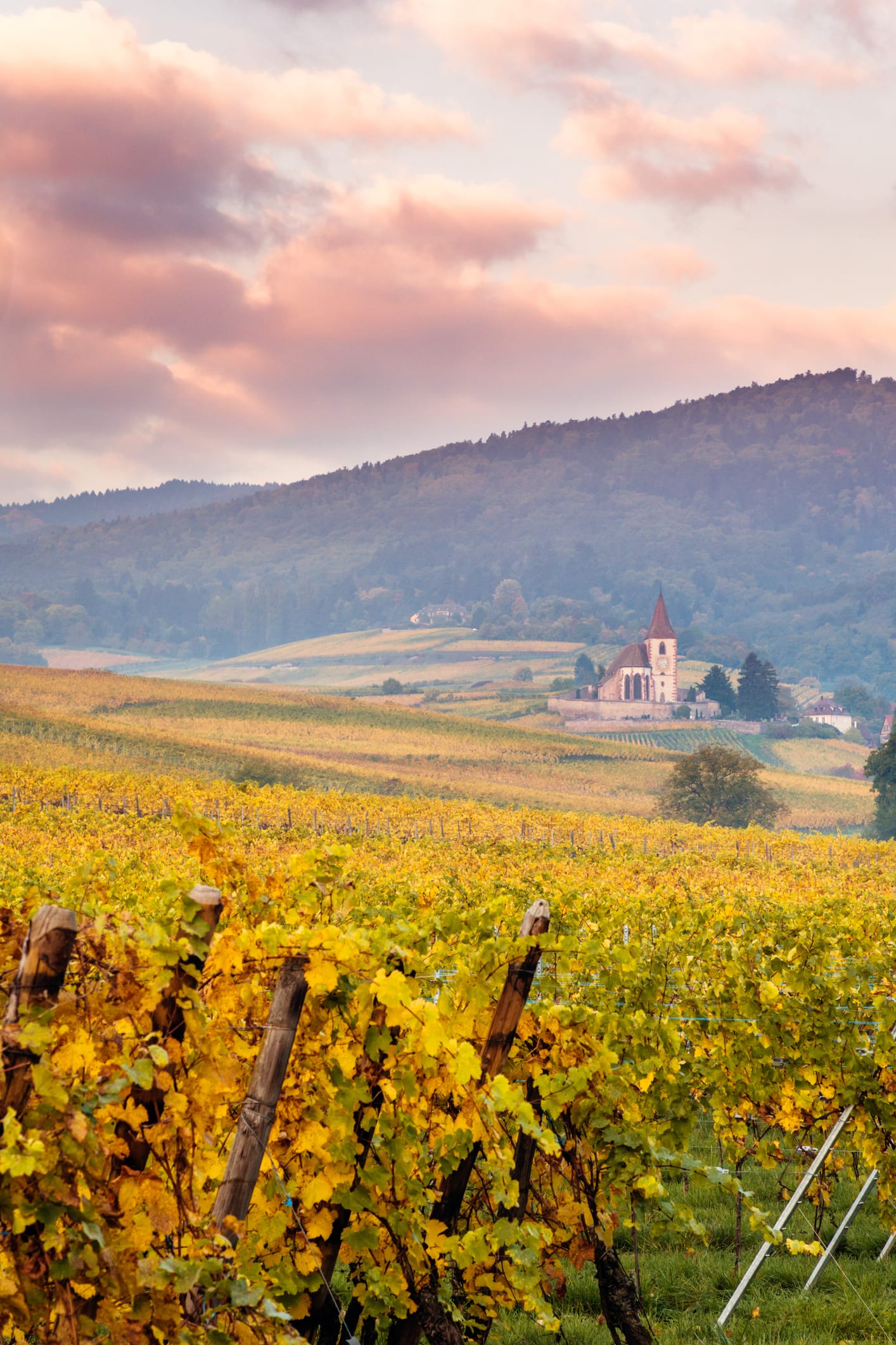 Guida di Riquewihr, il borgo dell’Alsazia e della Bella e la Bestia