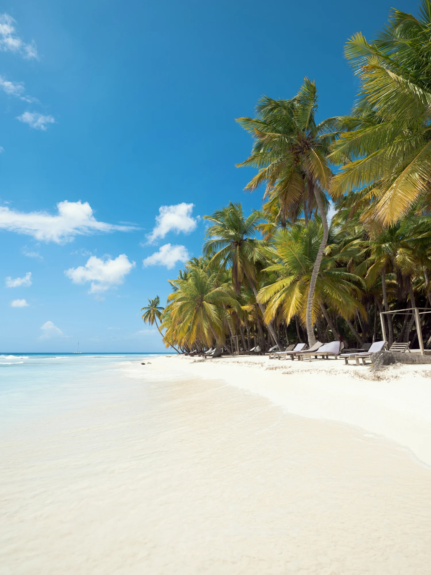 Lujo, gastronomía y naturaleza en Cap Cana, el área más exclusiva de Punta Cana