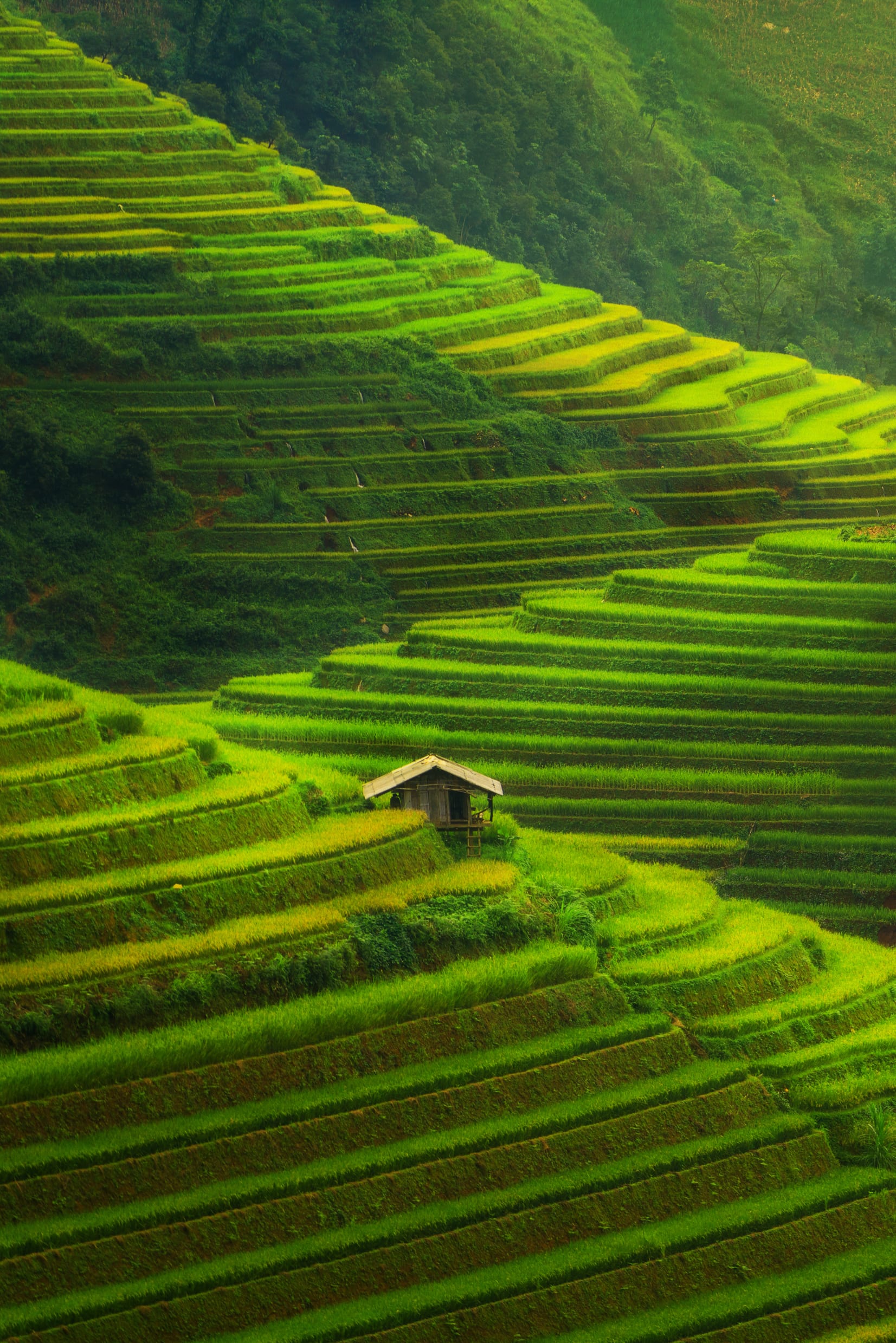 Vết bẩn trên đoàn tàu 'du lịch'
