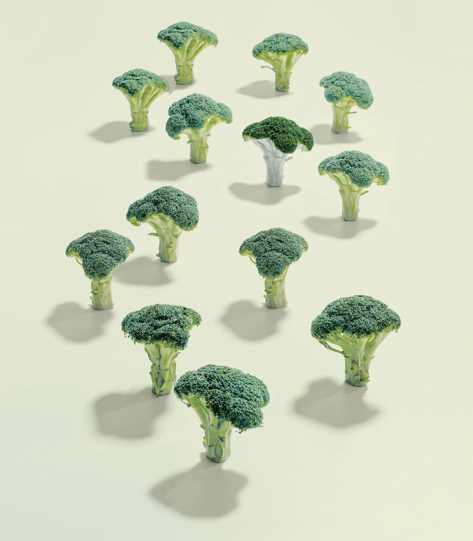Five surprising benefits of a plant-based diet