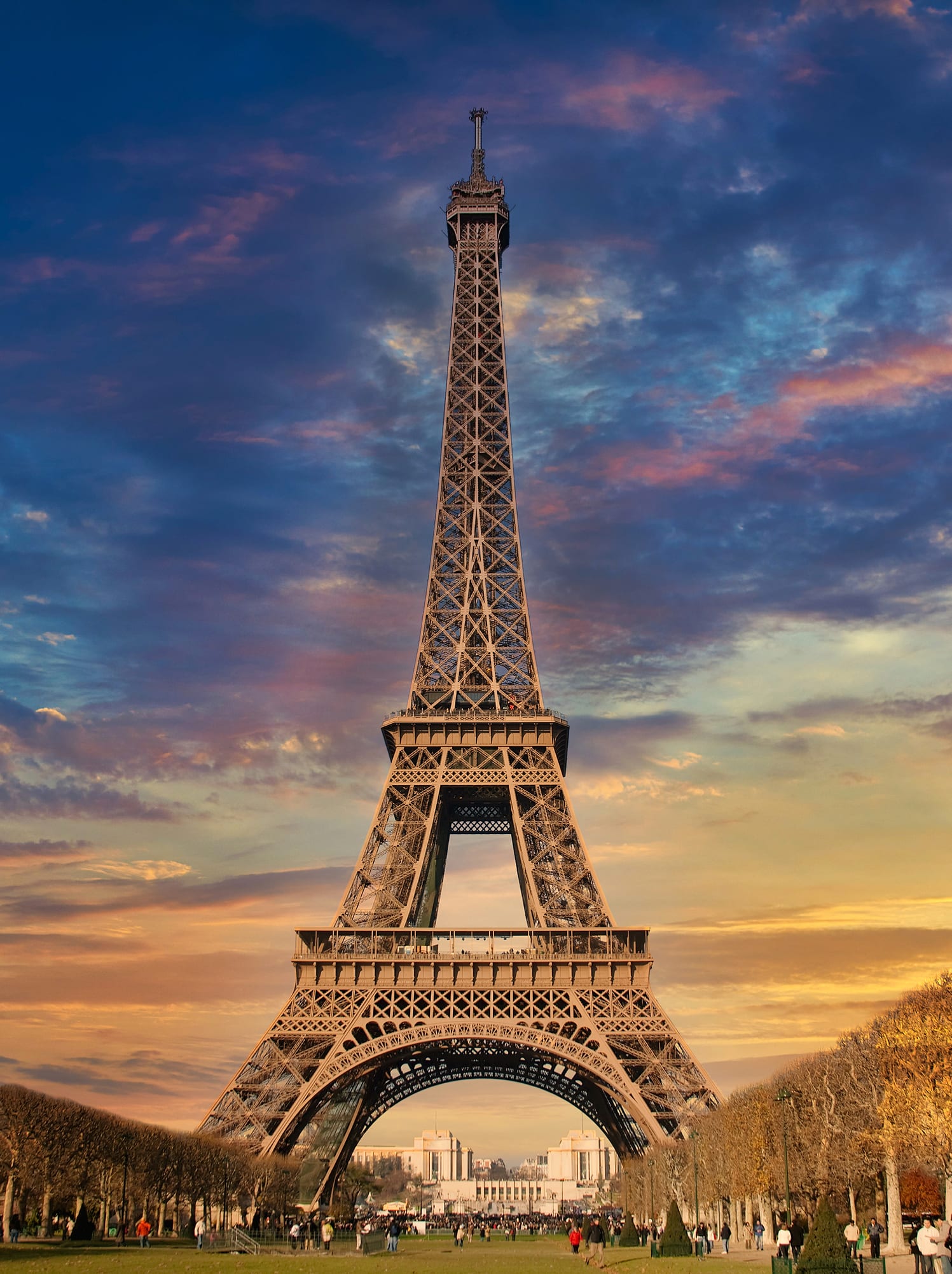 Allarme topi a Parigi. Ma una convivenza con gli umani è possibile?