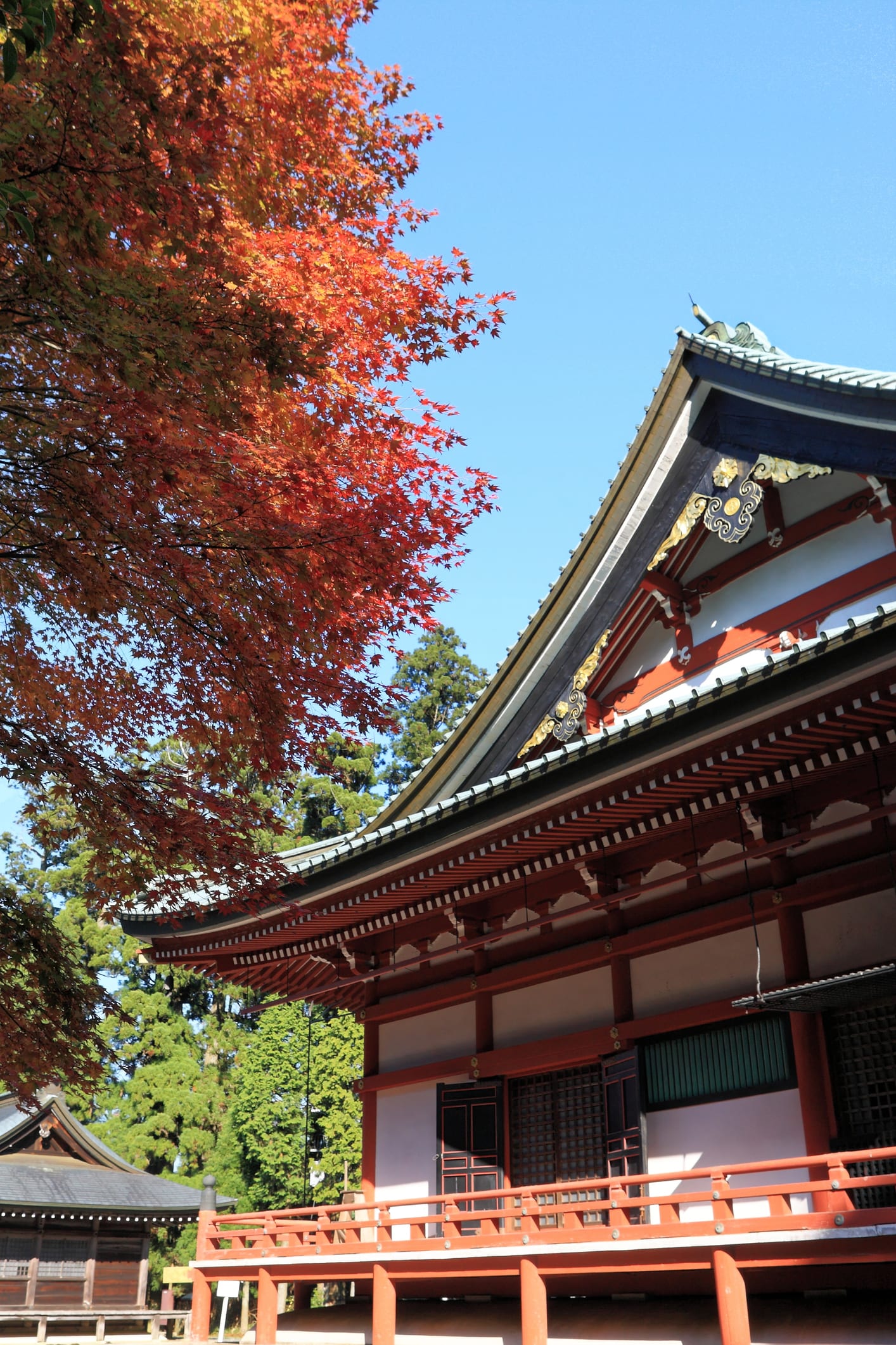 織田信長は仏教が嫌いだったのか？「比叡山焼き討ち」の真相