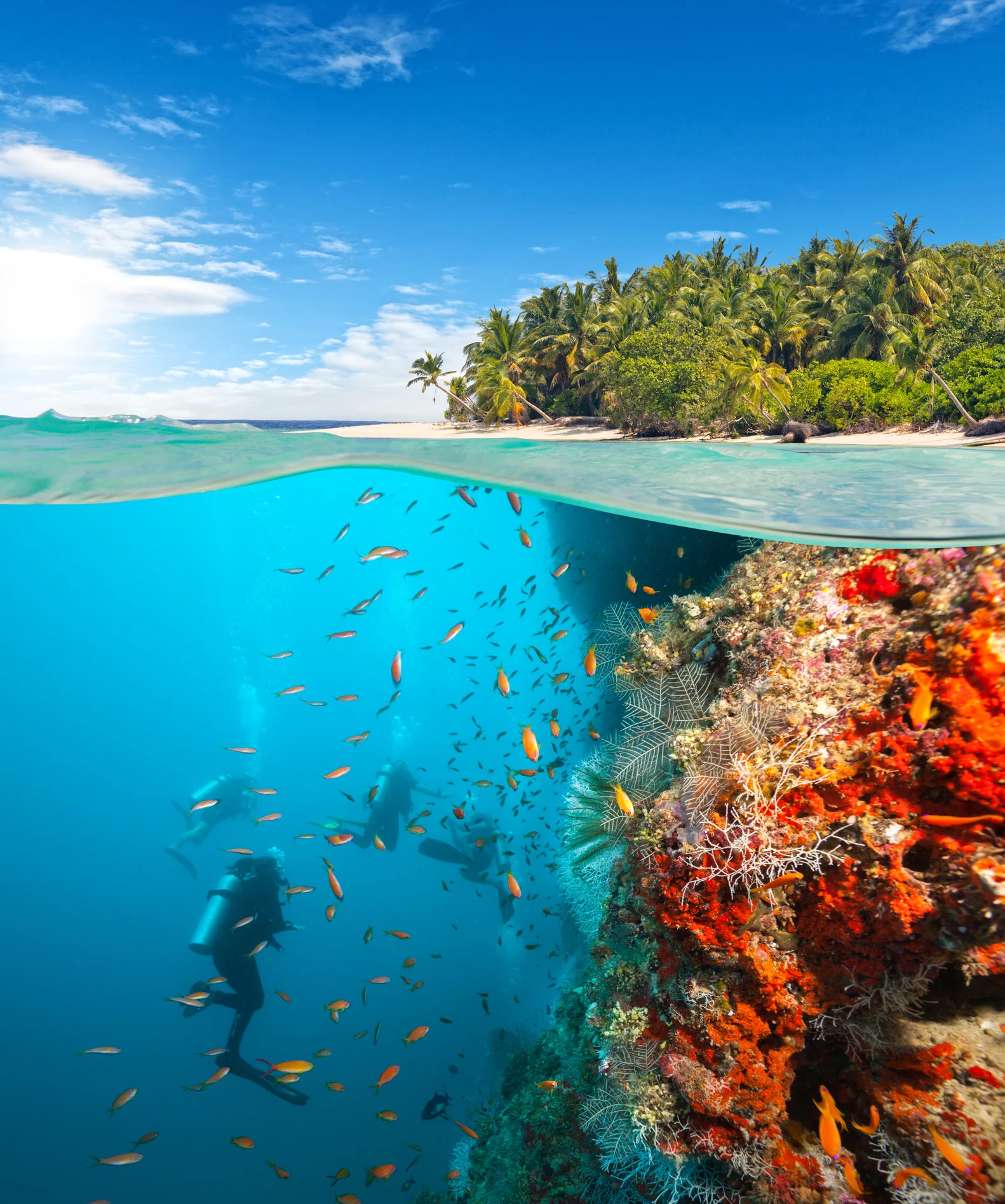 How to apply for once-in-a-lifetime role saving the coral reefs in the Maldives